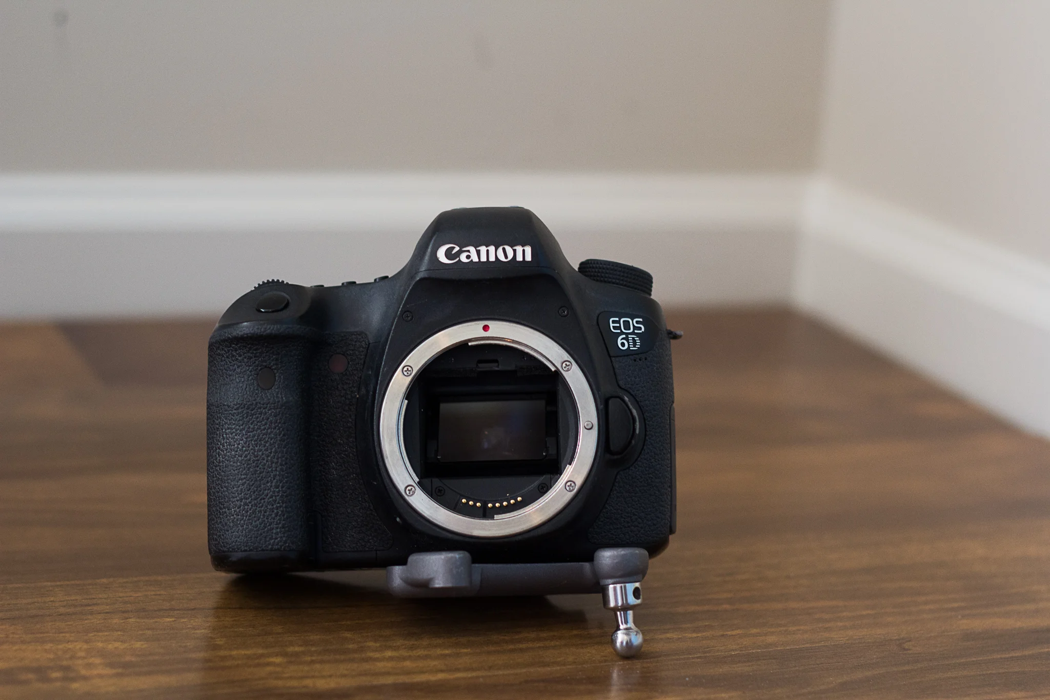 JohannaDyePhotography_Camera.jpg