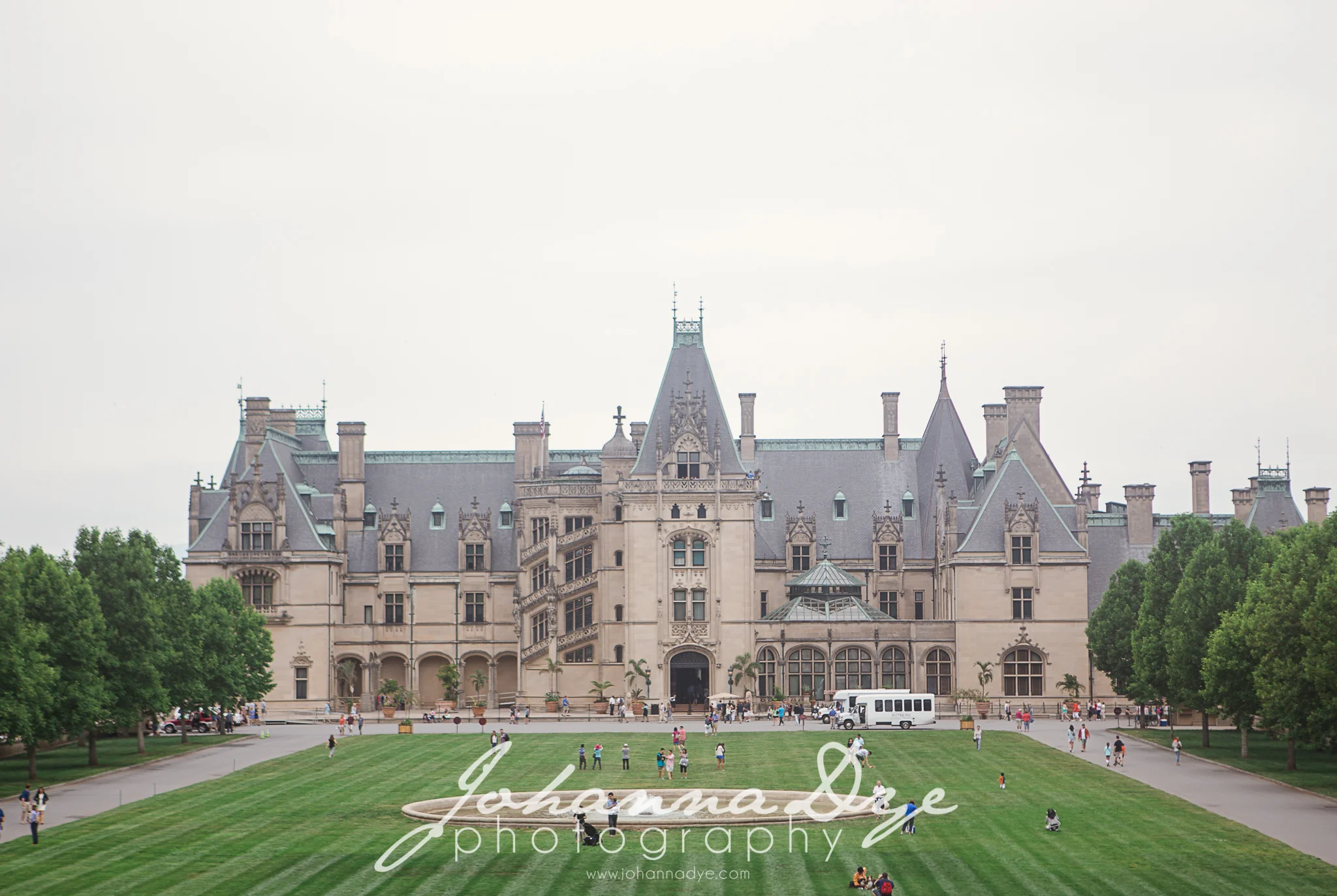 Wedding Photographer in Asheville, NC and Fayetteville, NC