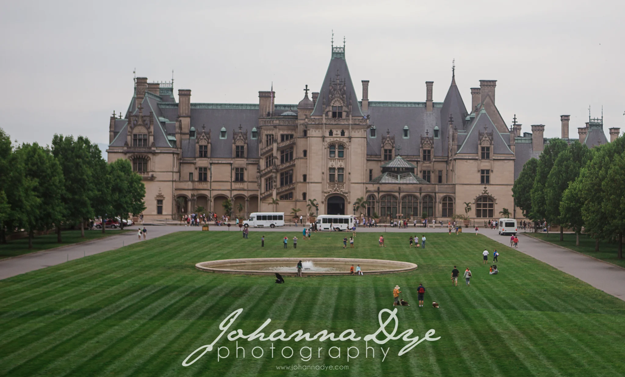 Wedding Photographer in Asheville, NC and Fayetteville, NC