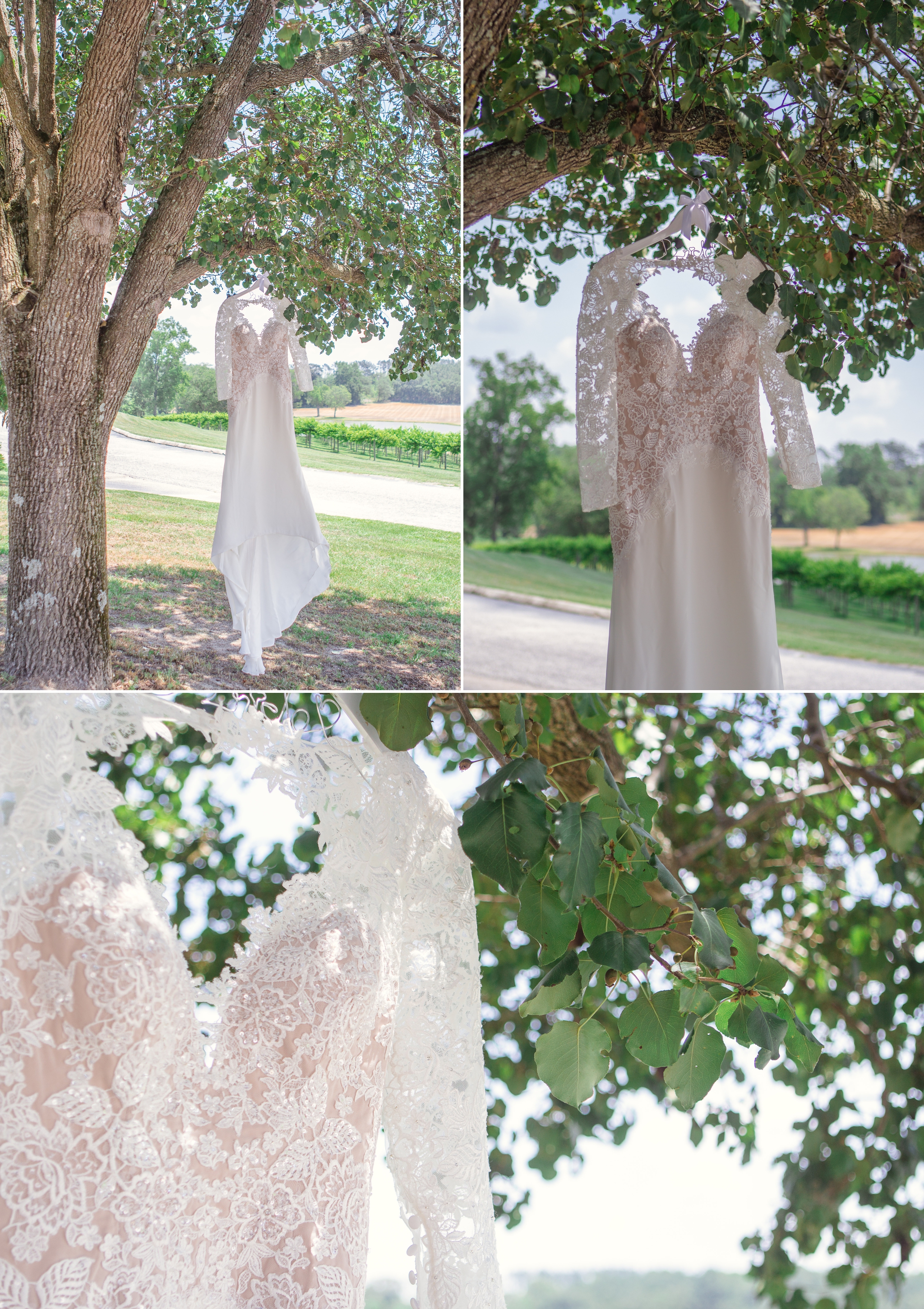 Gregory Vineyard Wedding Photographer in Fayetteville, North Carolina