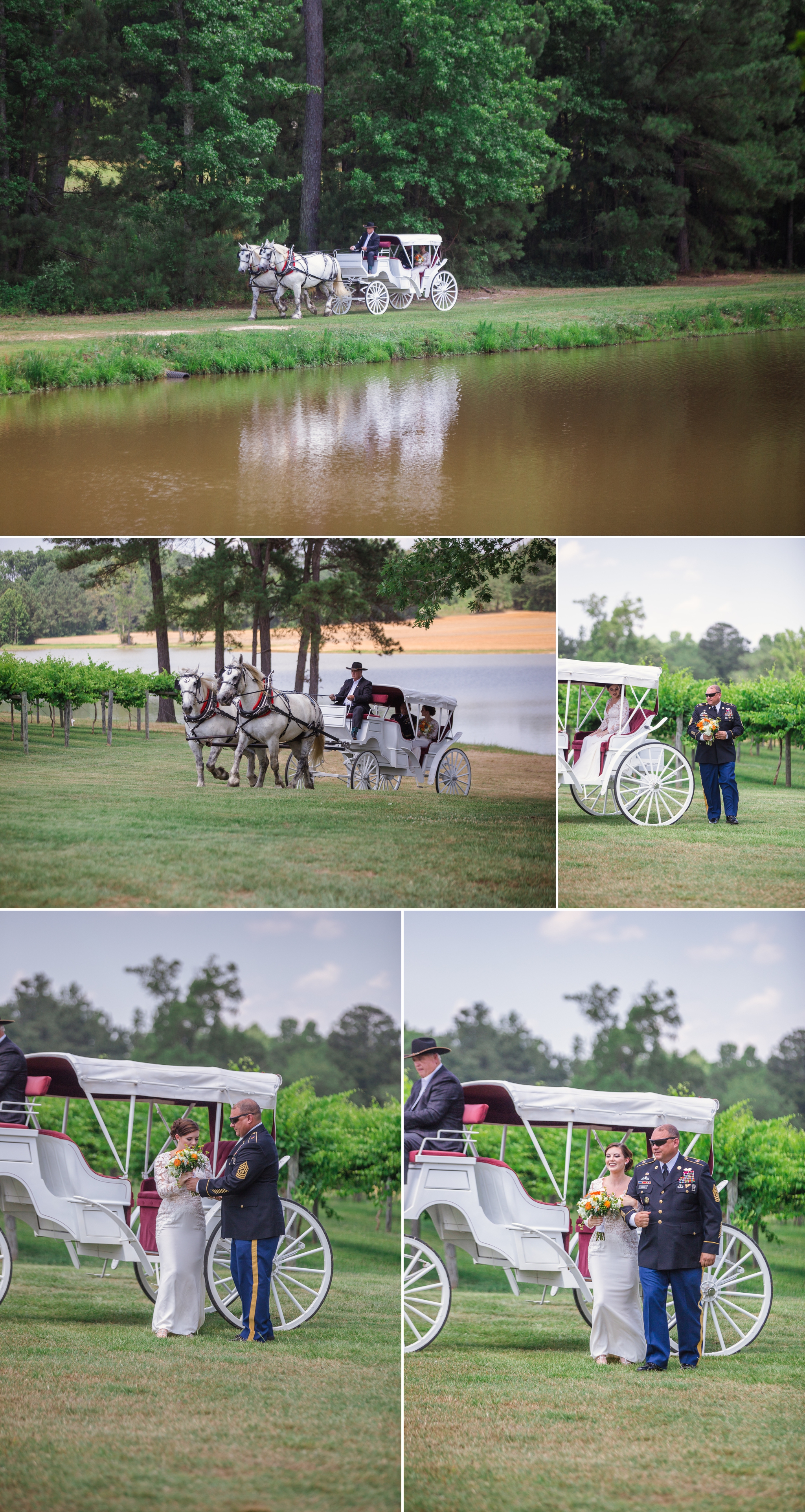 Gregory Vineyard Wedding Photographer in Fayetteville, North Carolina