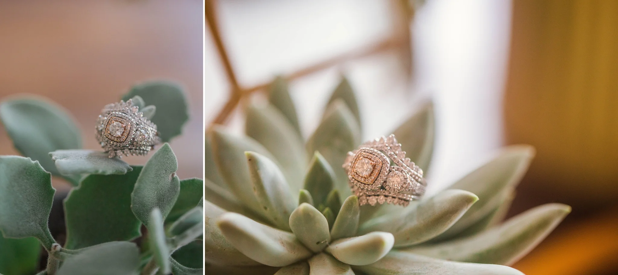 styled shoot 3.jpg