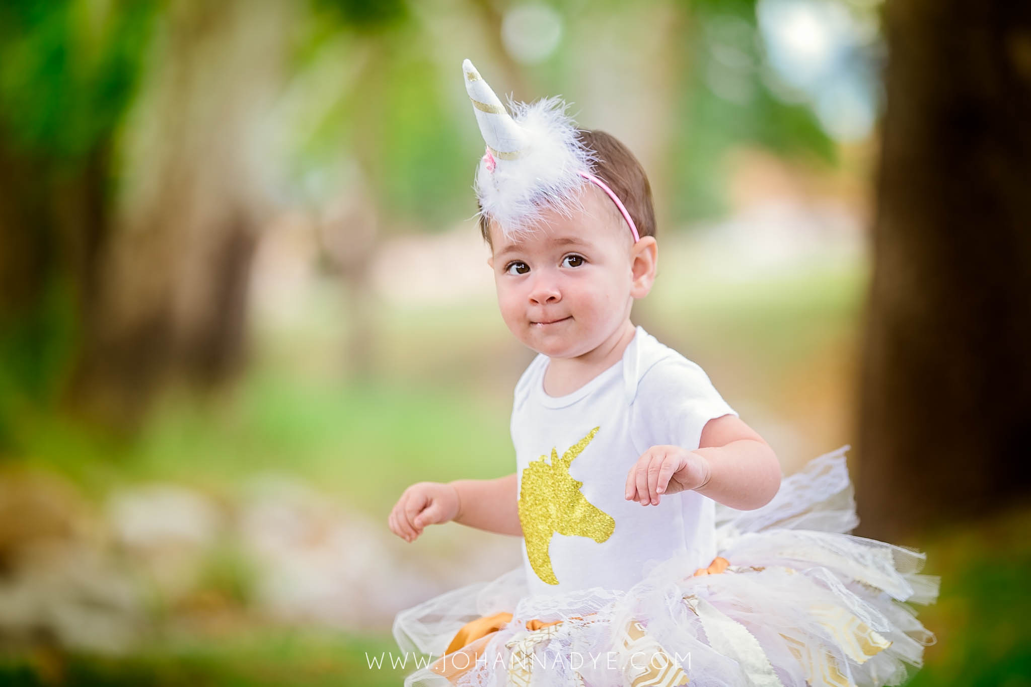 Fayetteville North Carolina First Birthday Photographer