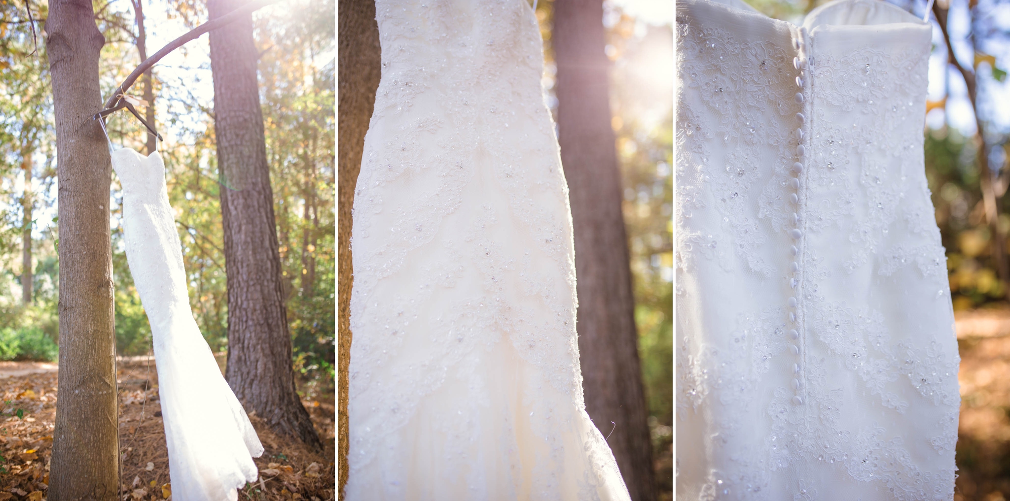 Wedding Photography at the Cape Fear Botanical Garden in Fayetteville North Carolina