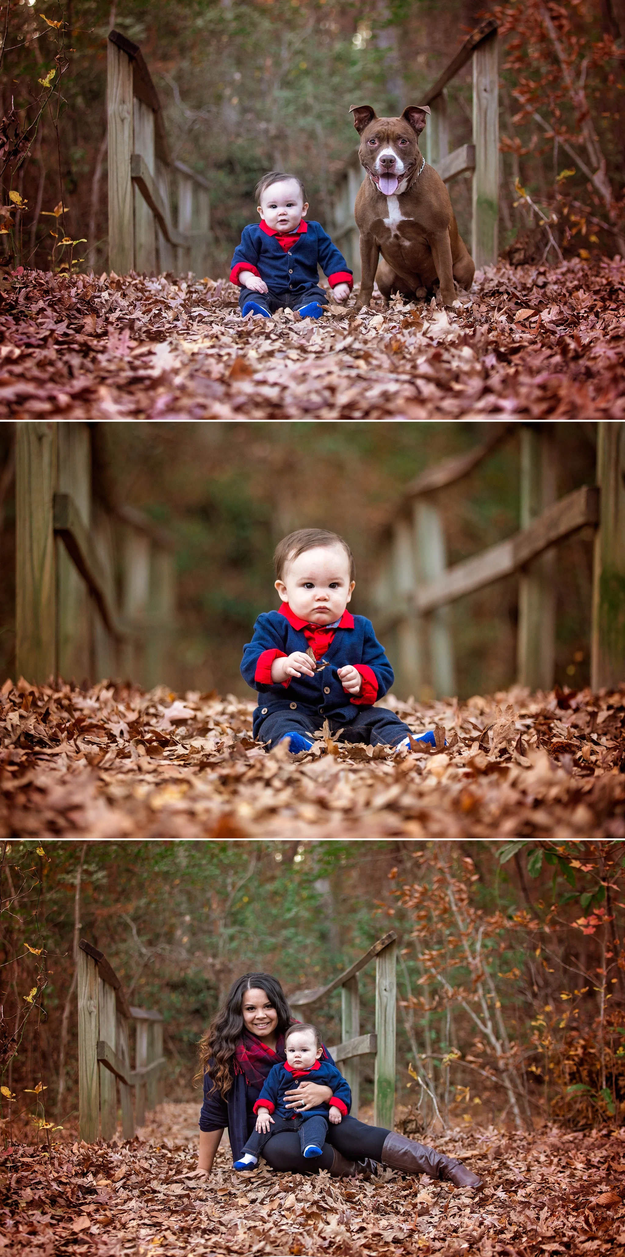 Family Photography at Clark Park in Fayetteville, North Carolina - Johanna Dye Photography, Wedding & Portraits