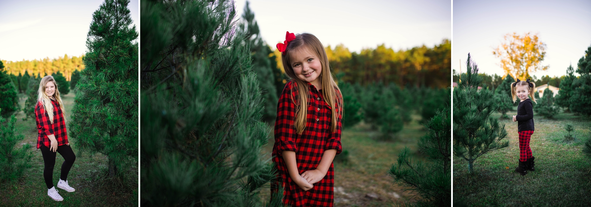 Family Photography at the Christmas Tree Farm in Fayetteville North Carolina