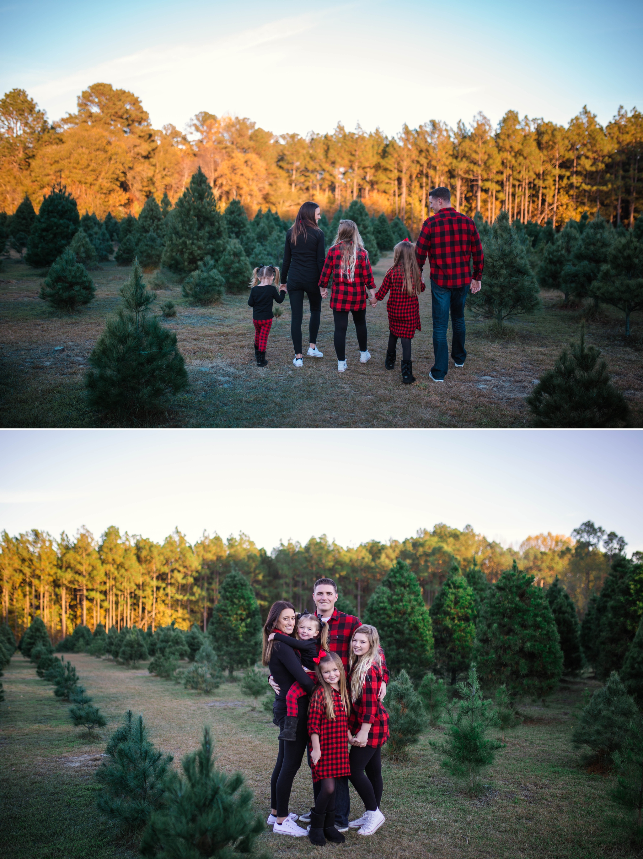 Family Photography at the Christmas Tree Farm in Fayetteville North Carolina