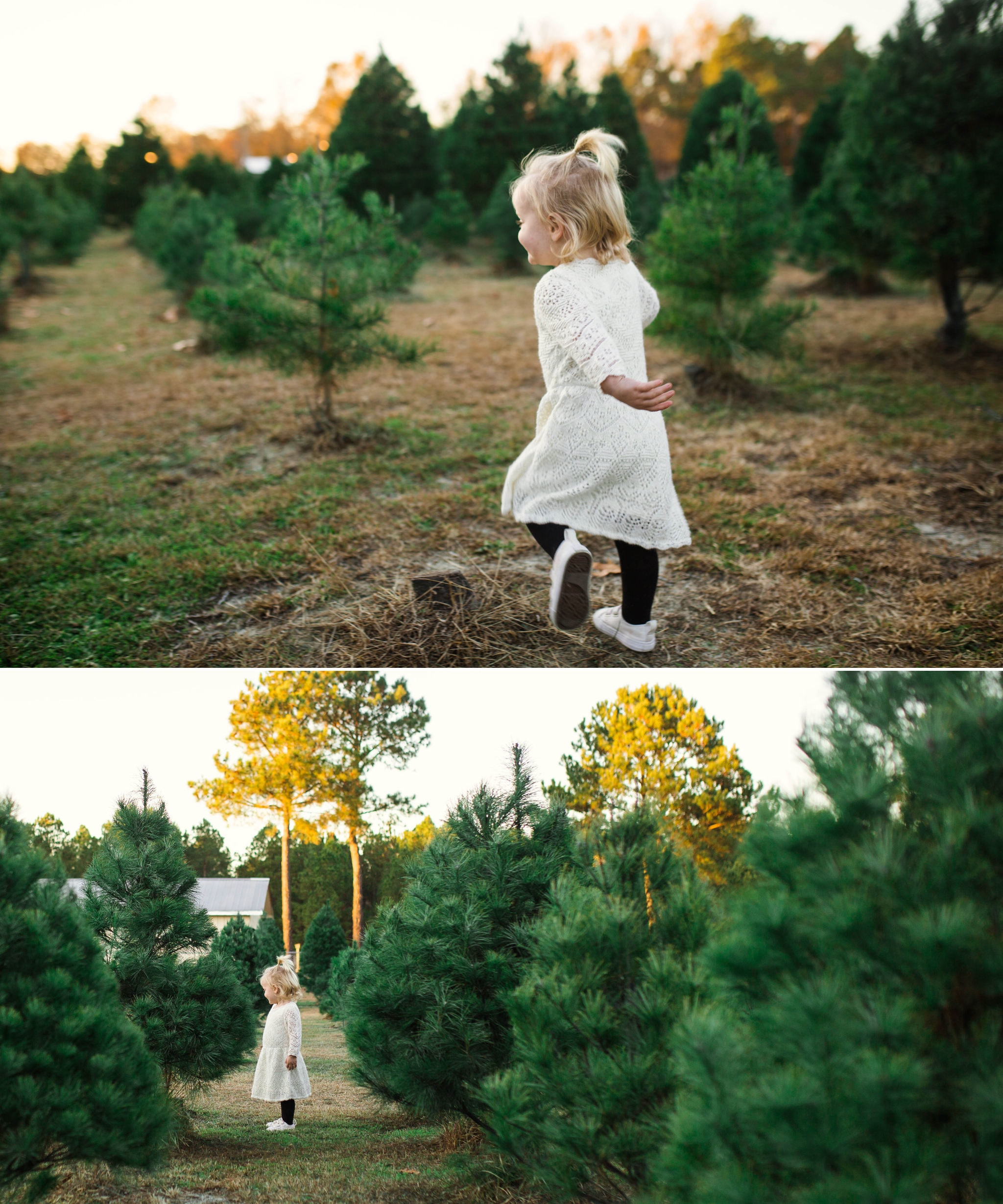 Fayetteville North Carolina Family Photographer at the Christmas Tree Farm - Johanna Dye Photography