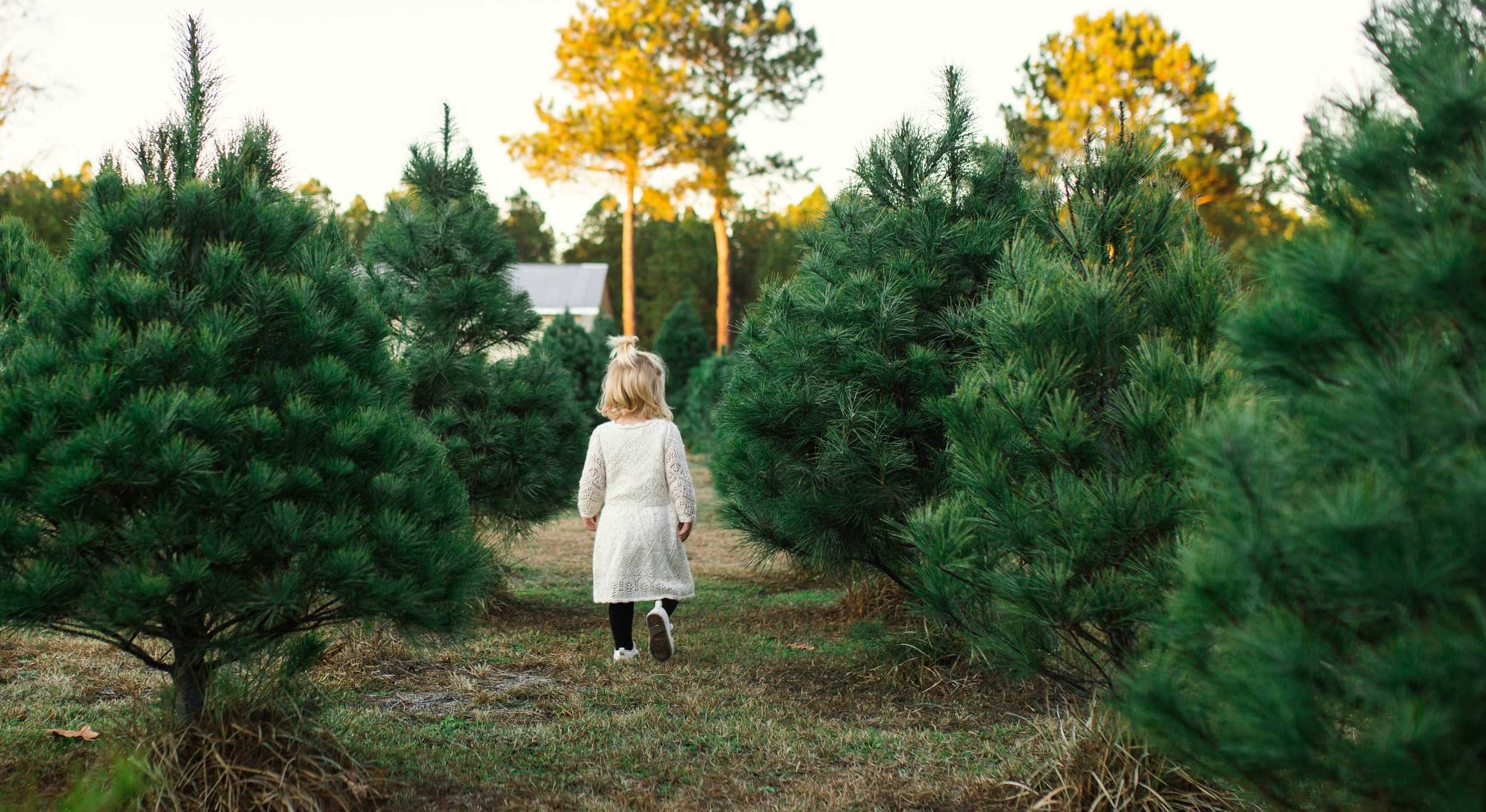 The Thompson's - Family Photographers in Fayetteville NC at the Christmas Tree Farm
