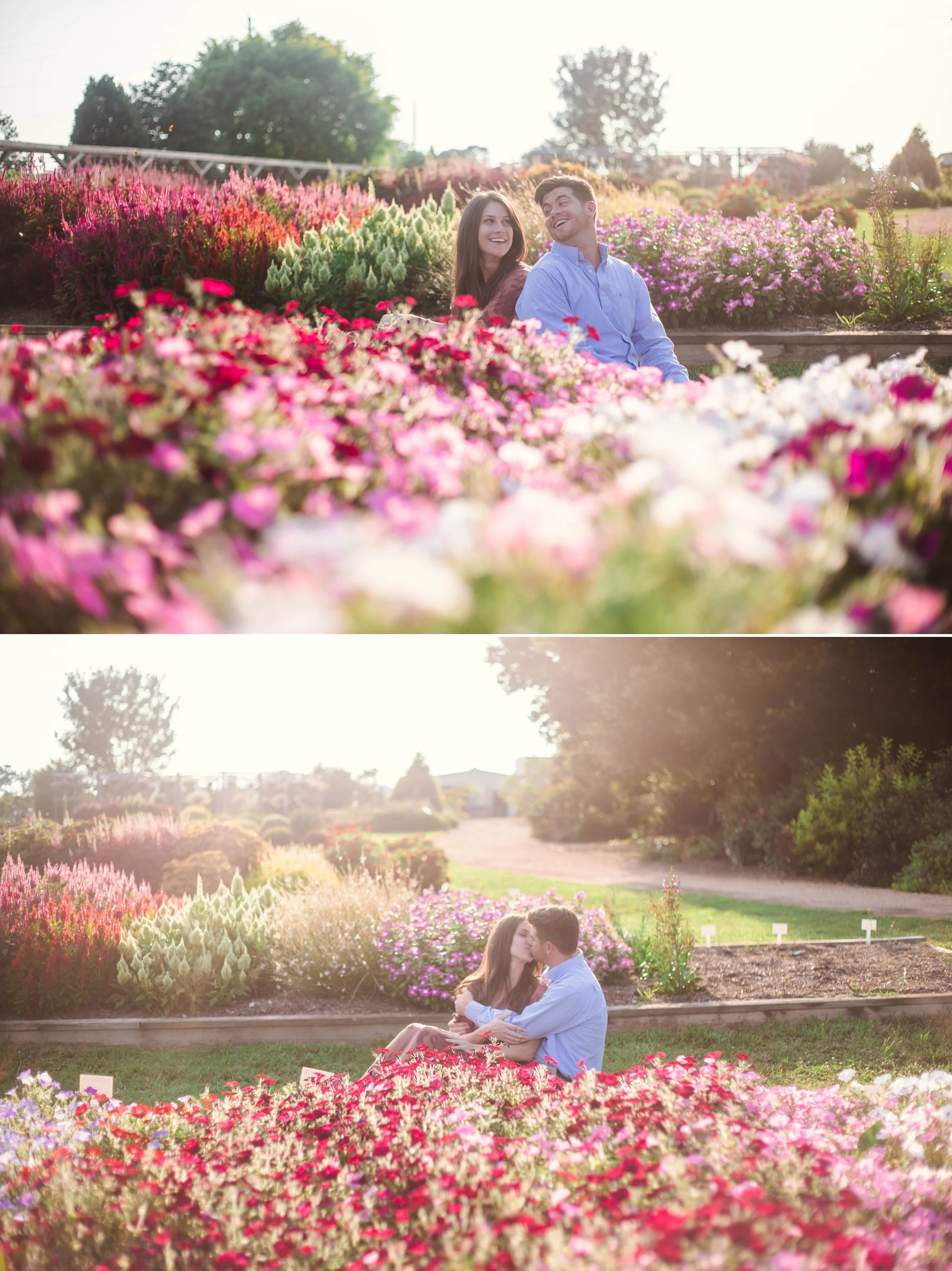 Rose Garden Engagement Aryn + Tyler -  Photography Session at the JC Raulston Arboretum - Raleigh Wedding Photographer