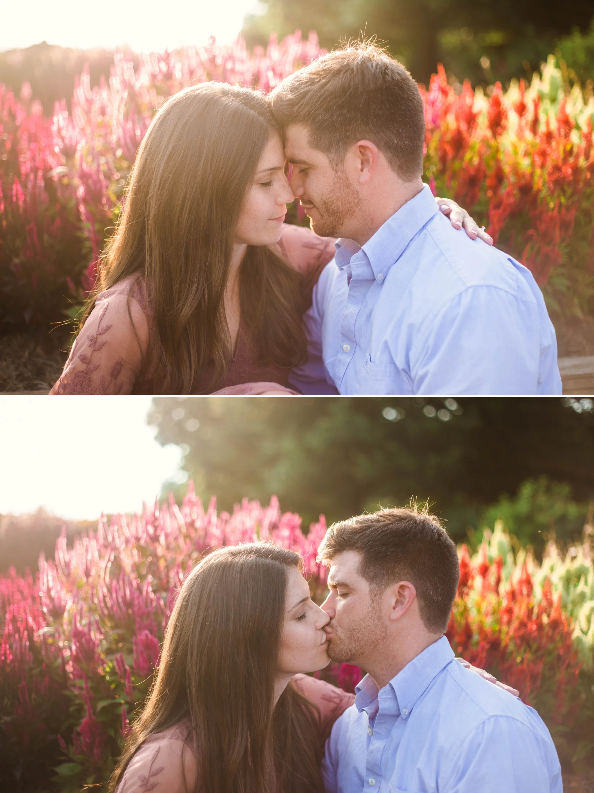 Golden Hour Engagement - Aryn + Tyler -  Photography Session at the JC Raulston Arboretum - Raleigh Wedding Photographer
