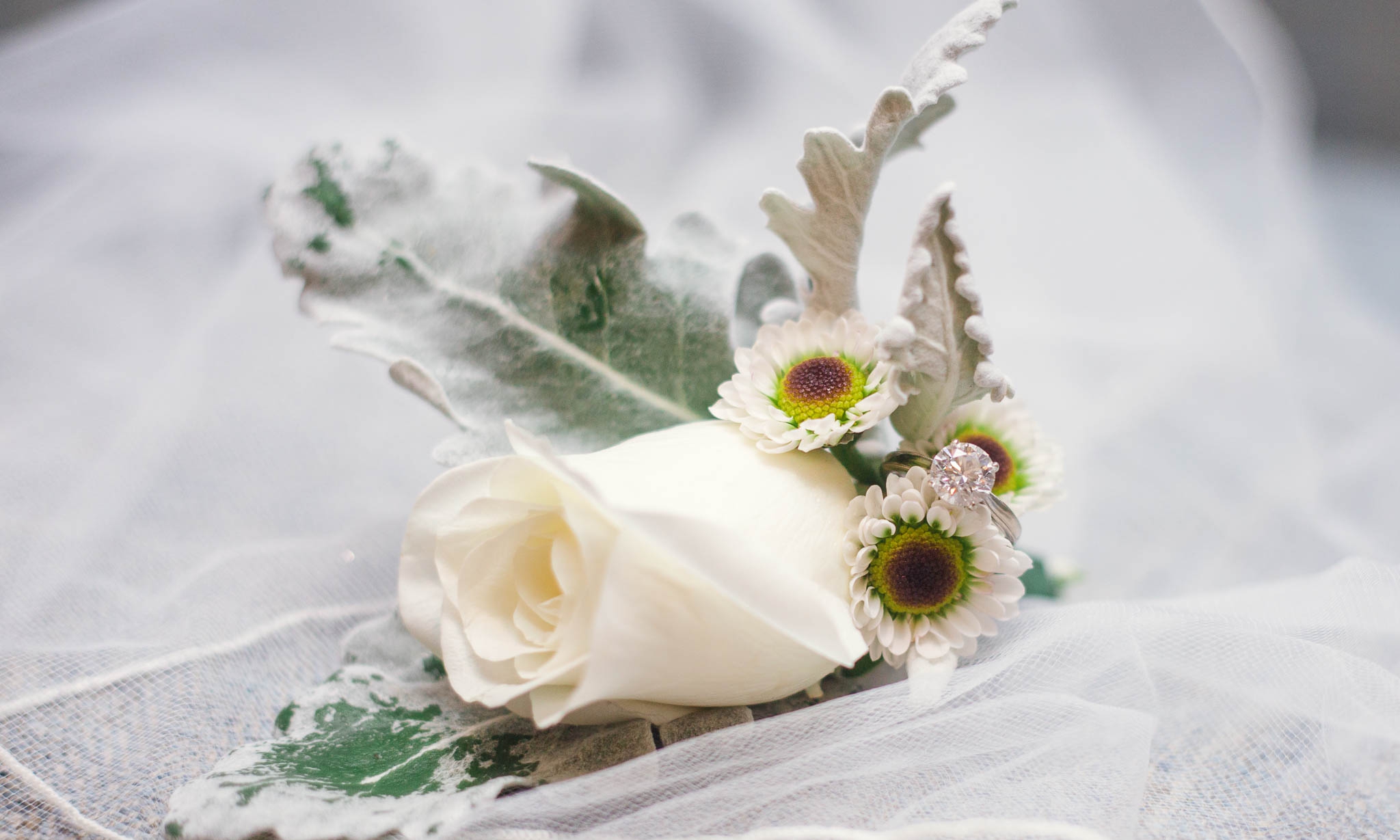 Wedding Ring Shot - Dona + Doug - MacGregor Downs Country Club in Cary, NC - Raleigh Wedding Photographer