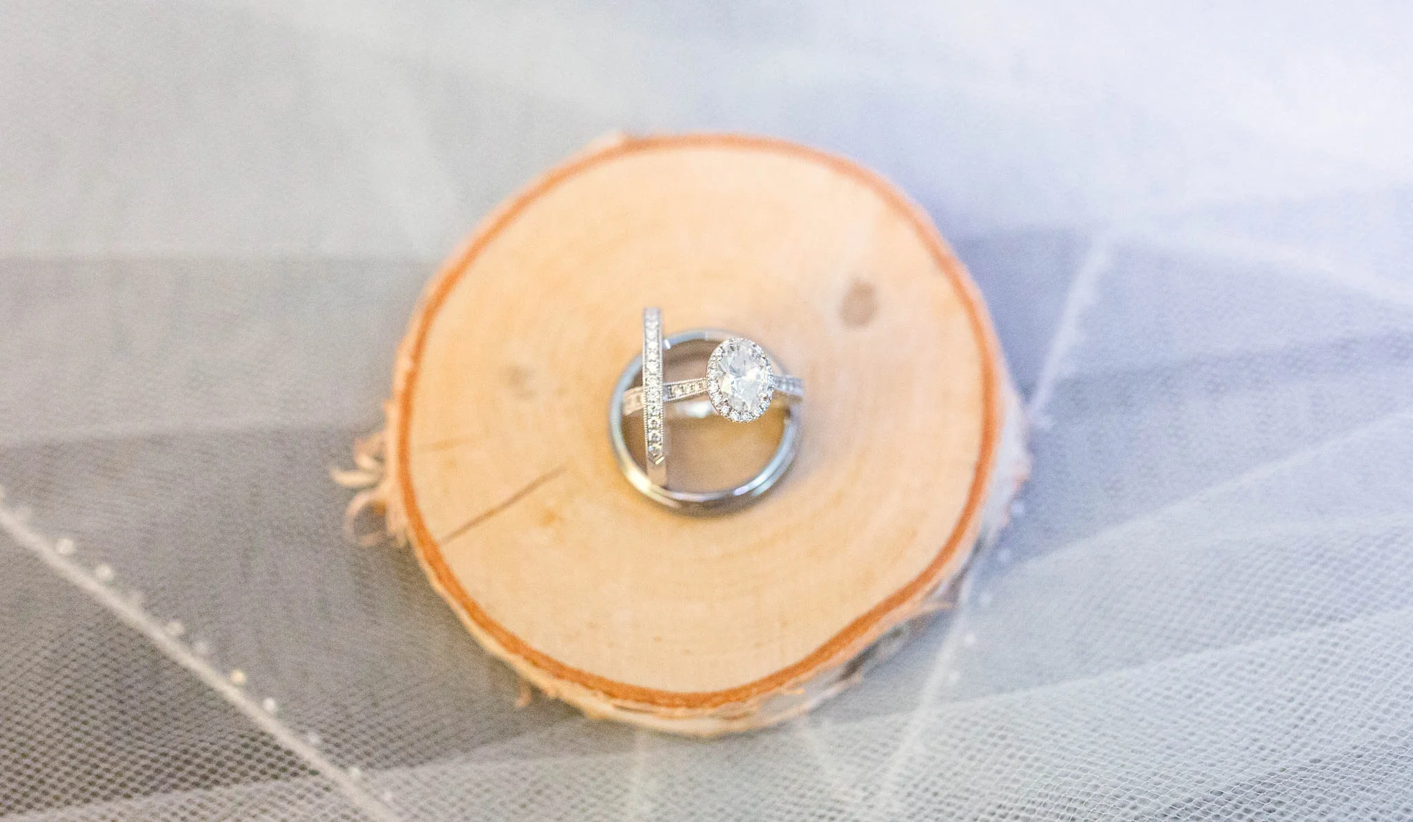 Wedding Rings - Meredith + Jason - The Crest Center and Pavilion in Asheville, NC - Raleigh Wedding Photographer