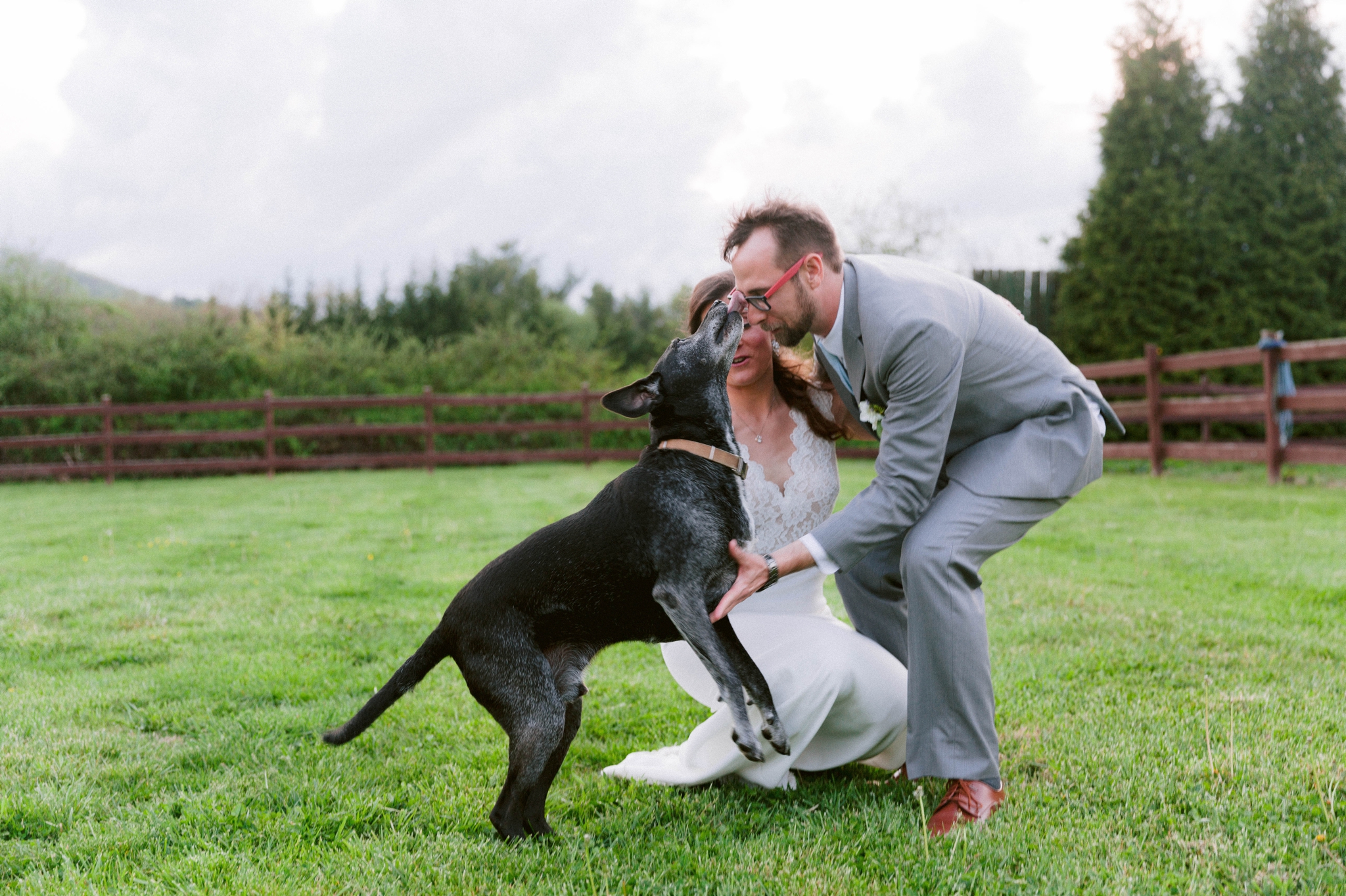  bride and groom portraits with their dog - Honolulu Oahu Hawaii Wedding Photographer 