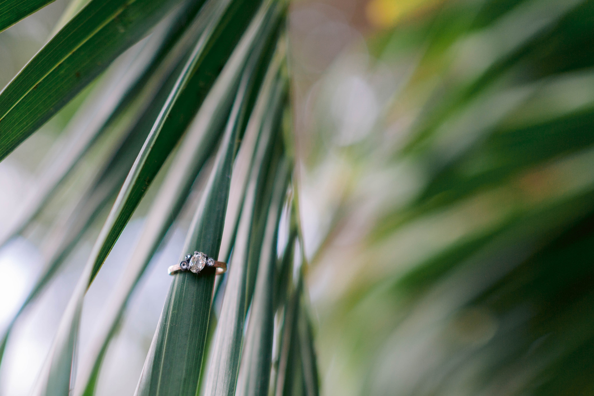 Engagement ring detail shot with a palm tree tropical Ana + Elijah - Wedding at Loulu Palm in Haleiwa, HI - Oahu Hawaii Wedding Photographer 