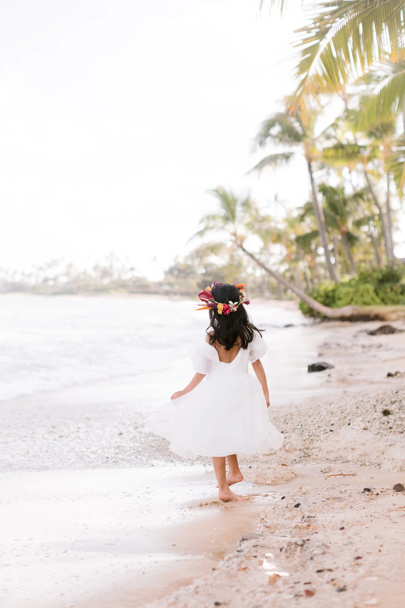 Young - Family Photography in Honolulu, Oahu - Palm Trees 