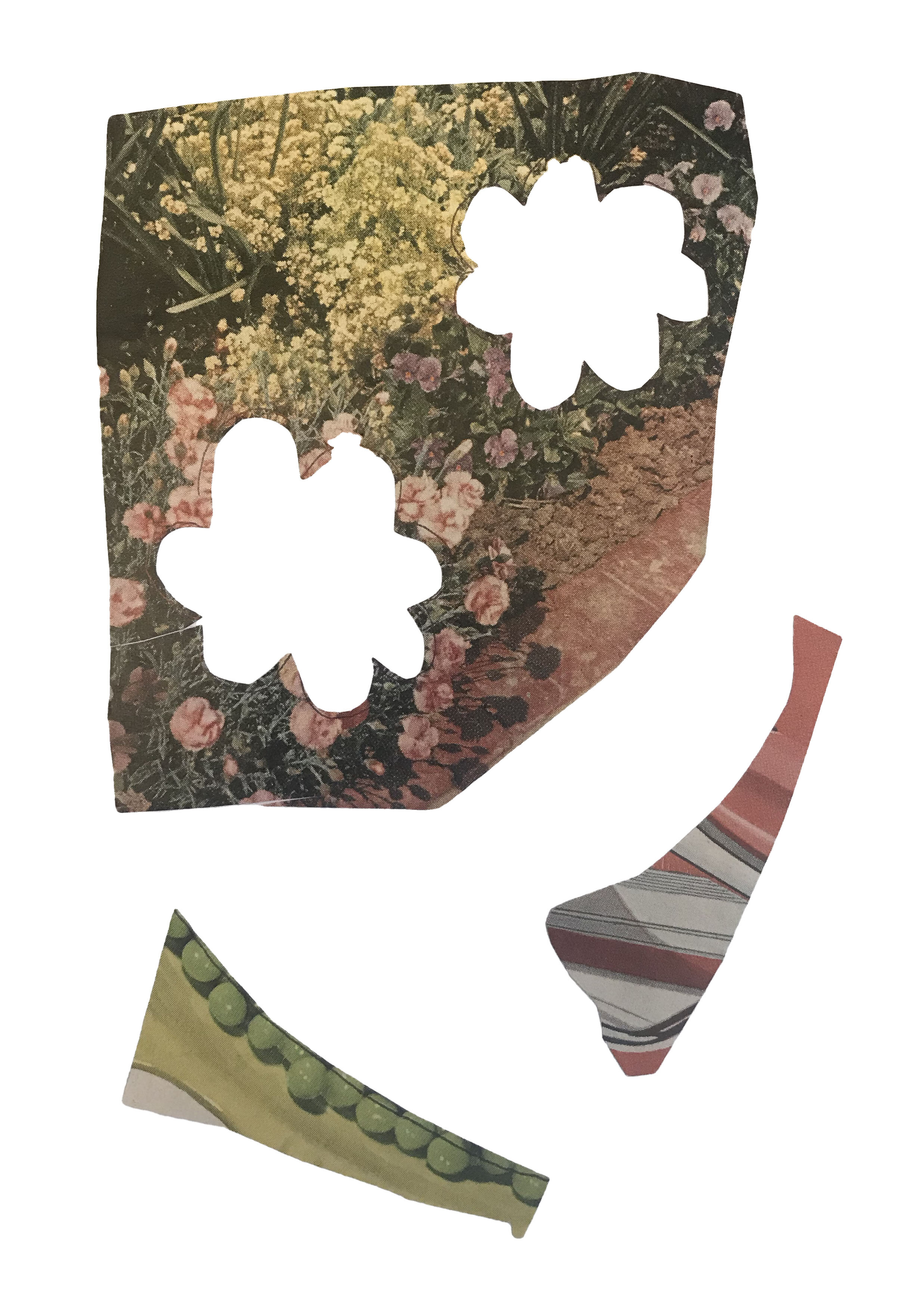flowers-collage-7.jpg