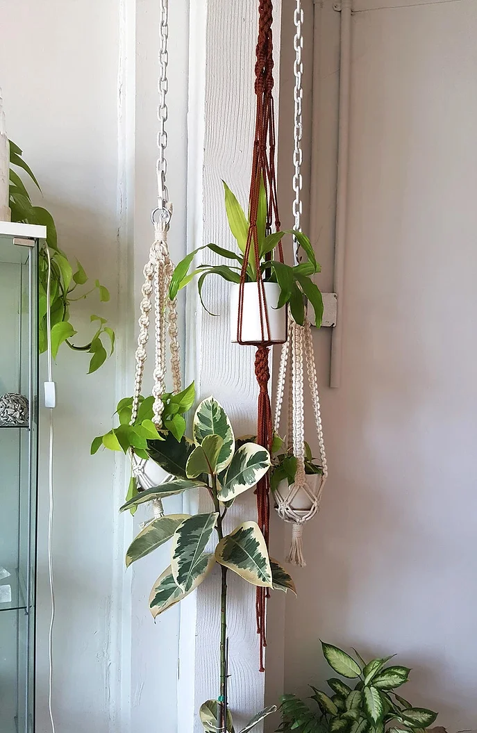 plant-hangers.jpg