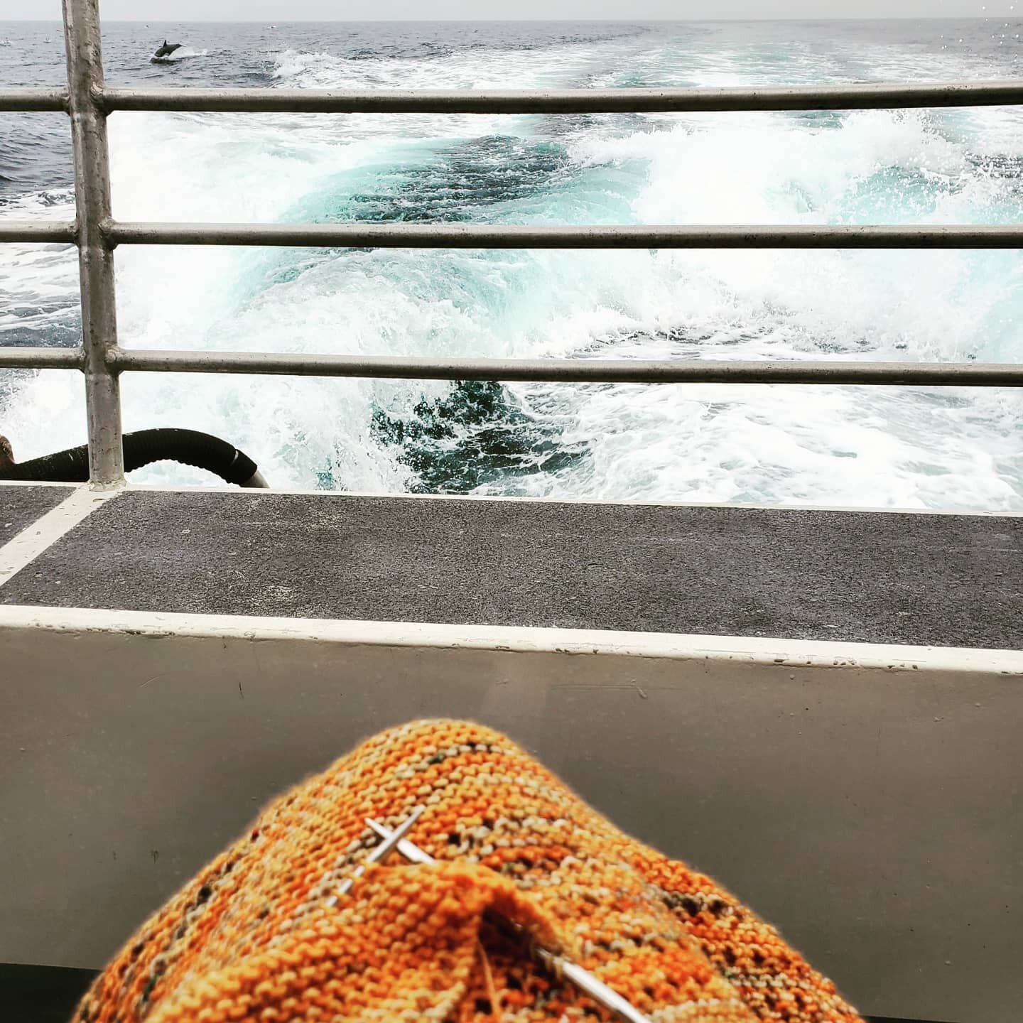 **New shop hours starting today -- Weds. 2-7, Fri. and Sat. 12-5** 
@1mesherri1 got to take a little trip for work yesterday, and was able to slip in a little knitting and dolphin watching! 🌞🧶🌊🐬 Back to working on her long overdue Shine wrap in o