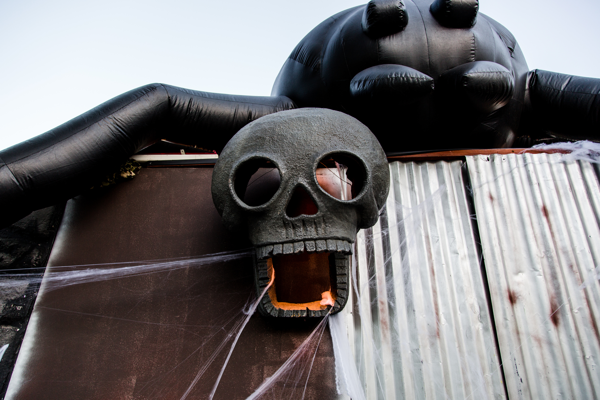 Halloween_Decor_Entertainment-skeletonandspider.jpg