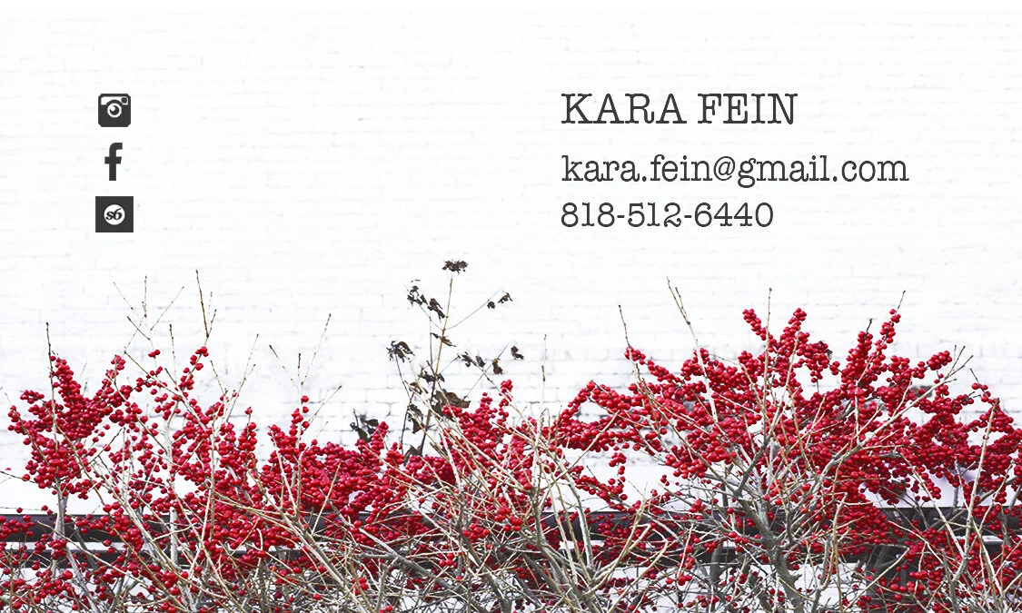 master_kara_fein_bus card.jpg
