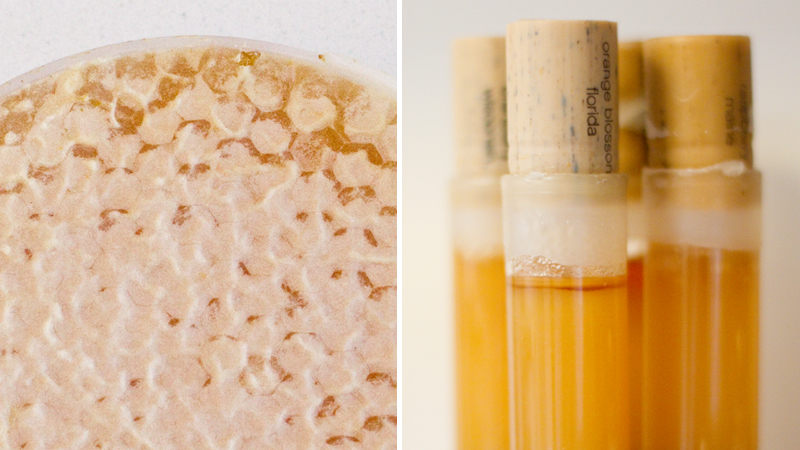 Did you know that a single bee creates one teaspoon of honey in it’s lifetime? When I learned this, I couldn’t help but count in bees instead of spoonfuls...