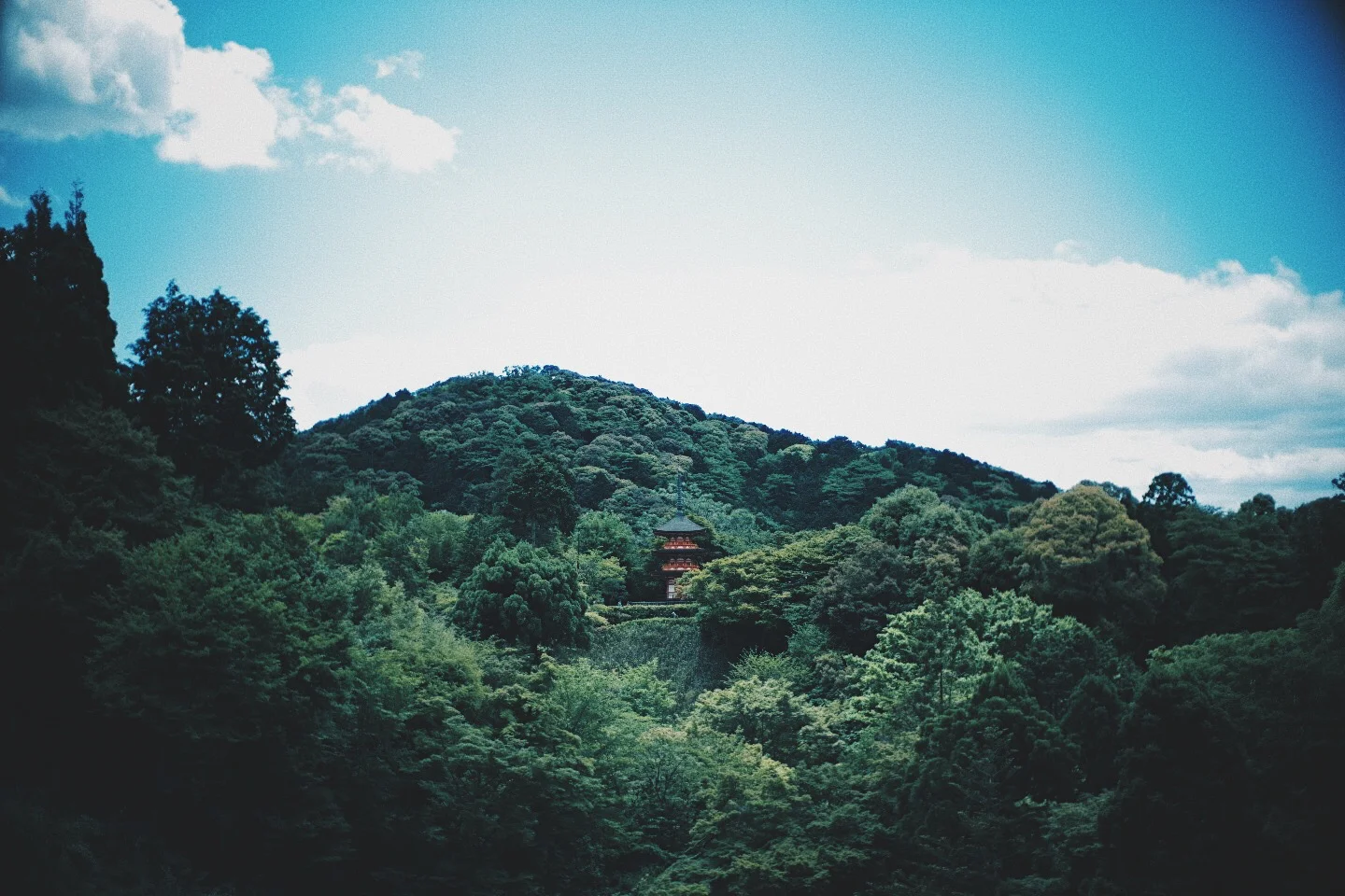 JAPAN 5-17 - 44 of 188.jpg