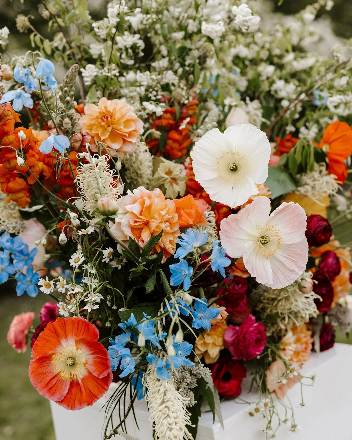 Cliff top private first looks, entering your ceremony holding hands together, shoes off running on the beach, surprise performances &amp; loved ones who travelled from all over the world to celebrate love! Just a few of the special moments that made 
