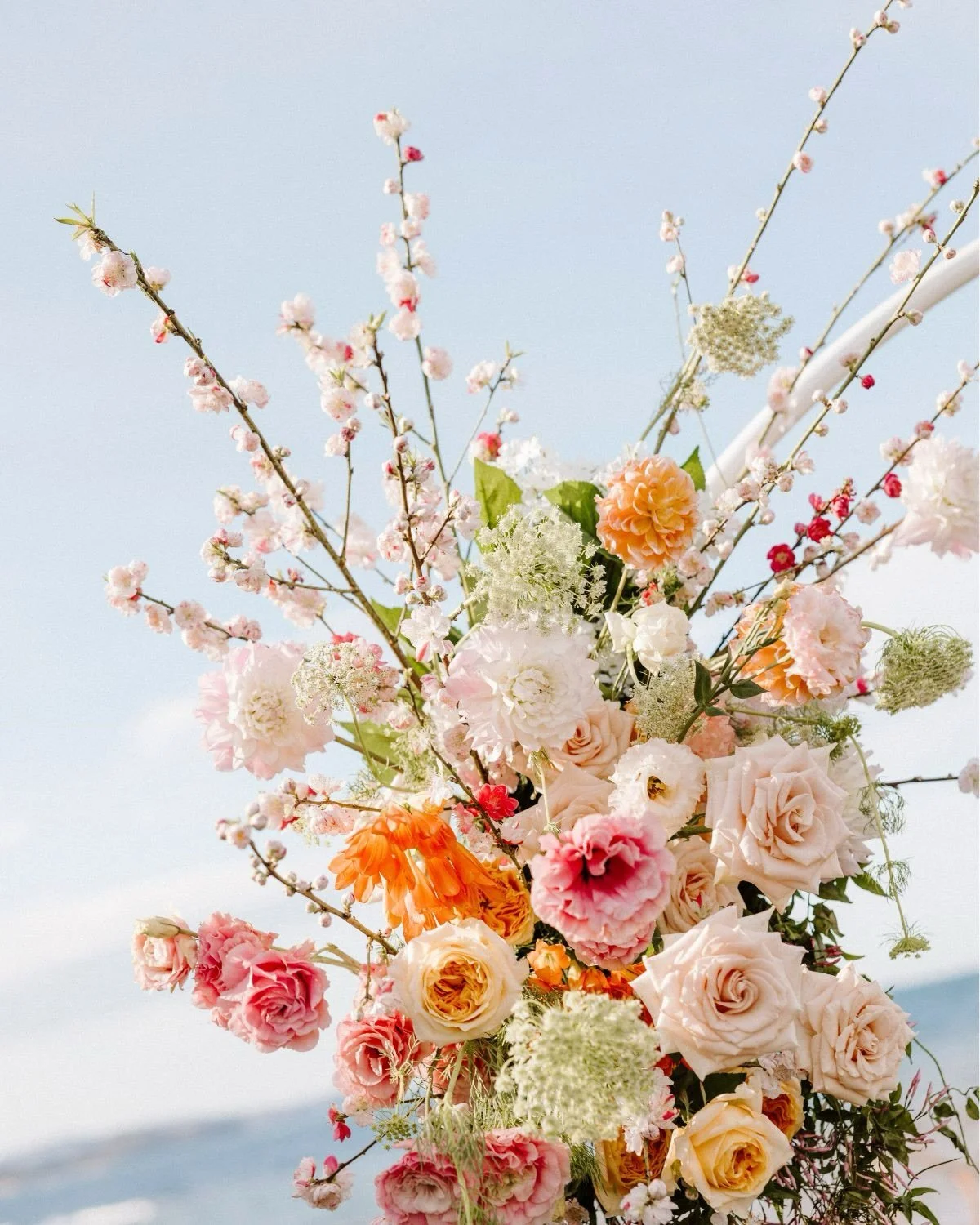 Natalie &amp; Tadgh&rsquo;s colourful and vibrant coastal wedding with my absolute favourite vendors in the world!✨📸🌈💐 #weddingphotography #sydneyweddingphotographer #longreefweddings