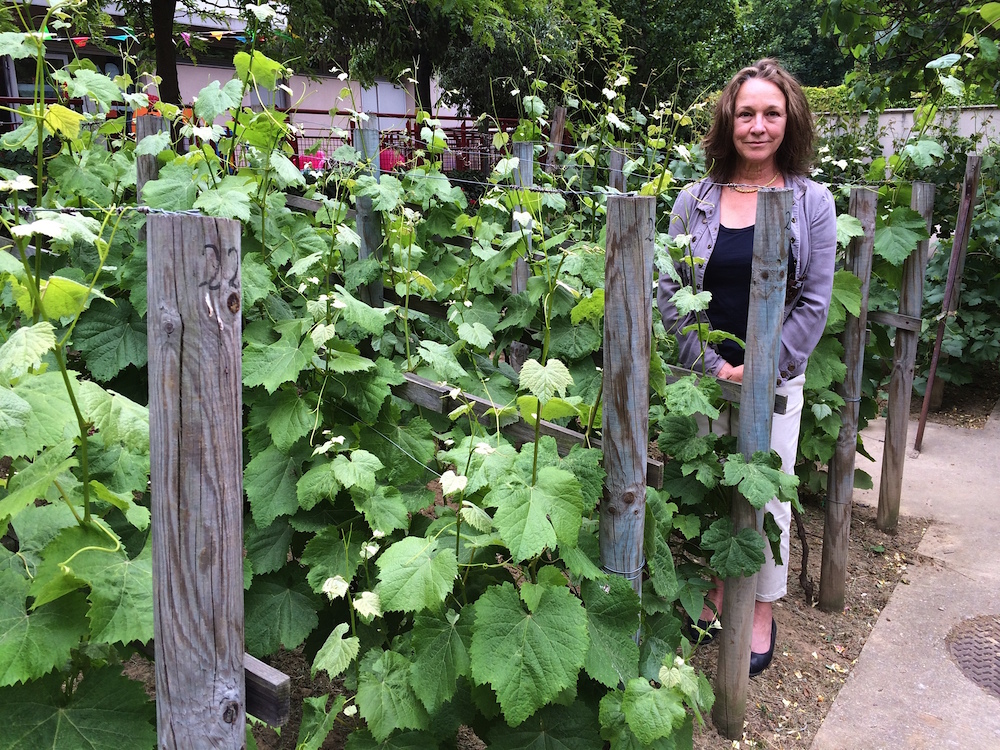 Translator Sally Pane visits little-known Montmartre vineyard.