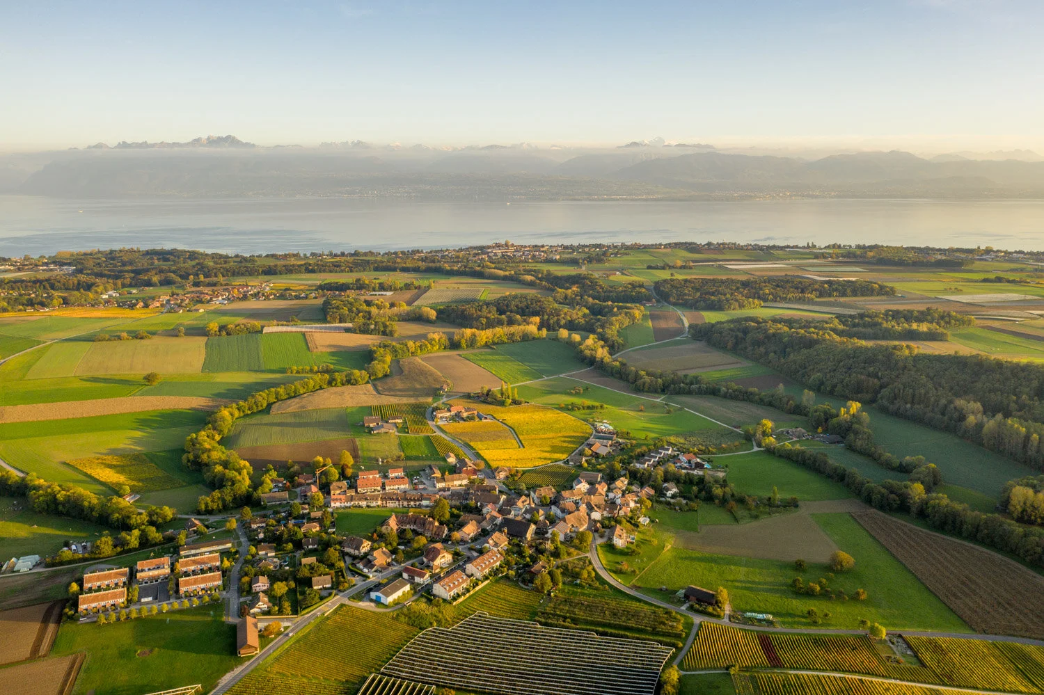DJI_0015.jpg