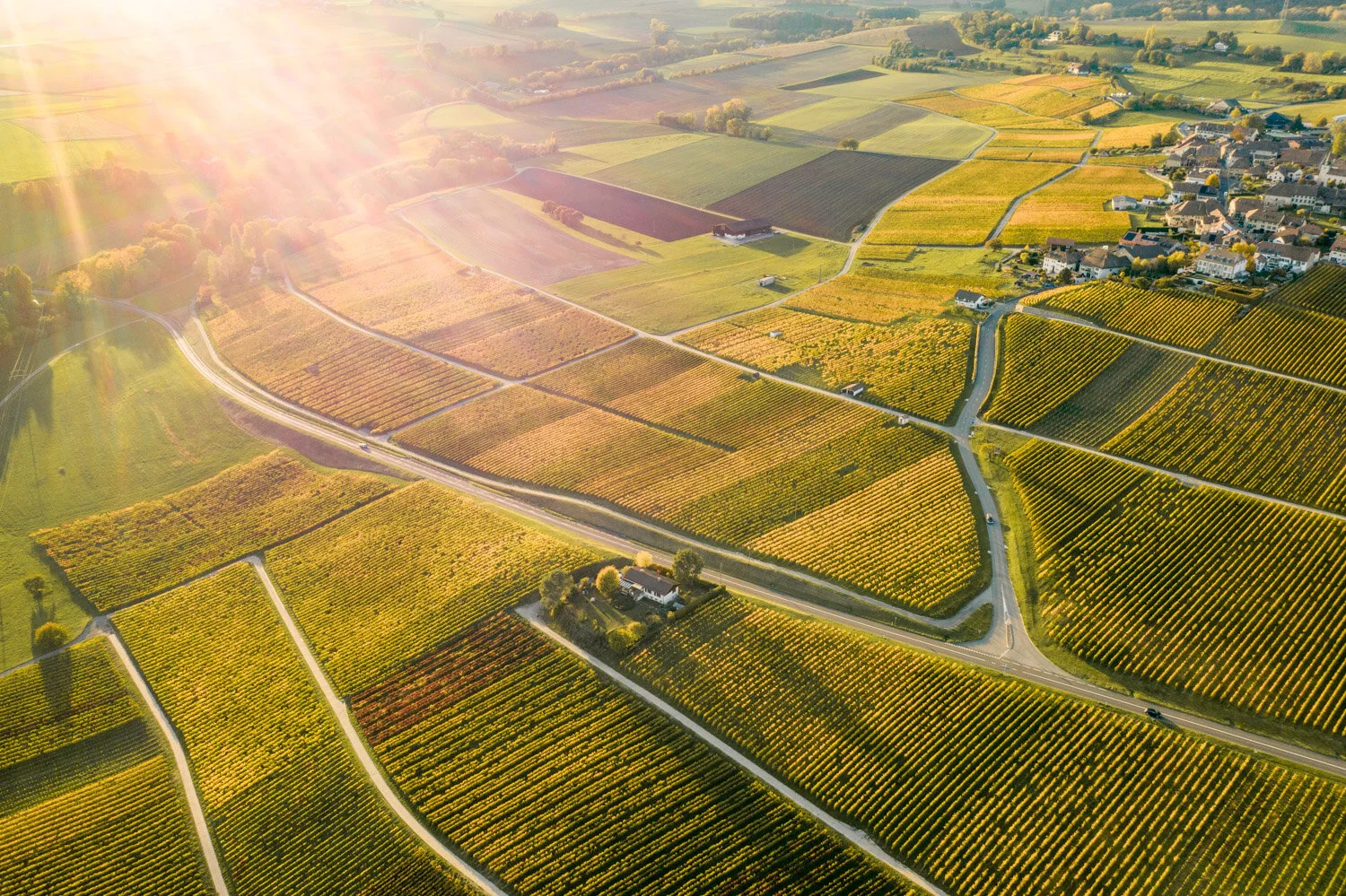 DJI_0995.jpg