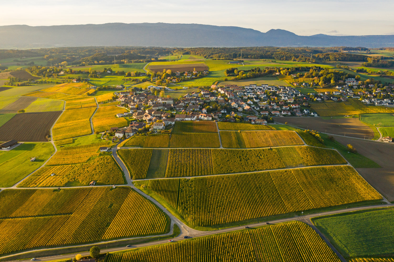DJI_0989.jpg