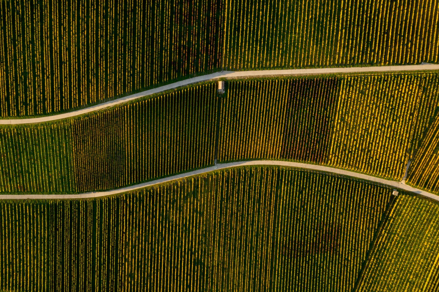 DJI_0991.jpg