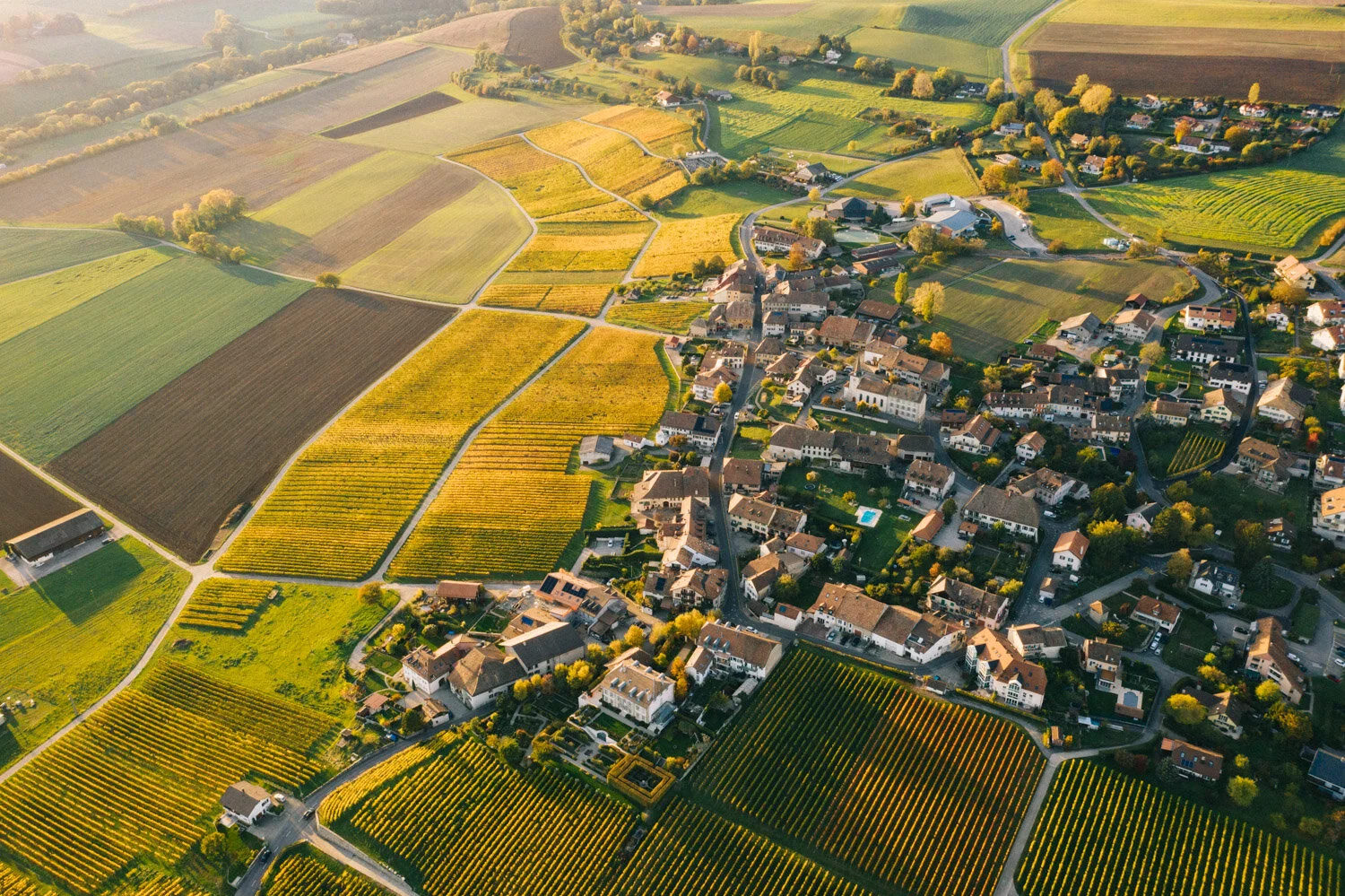 DJI_0998.jpg