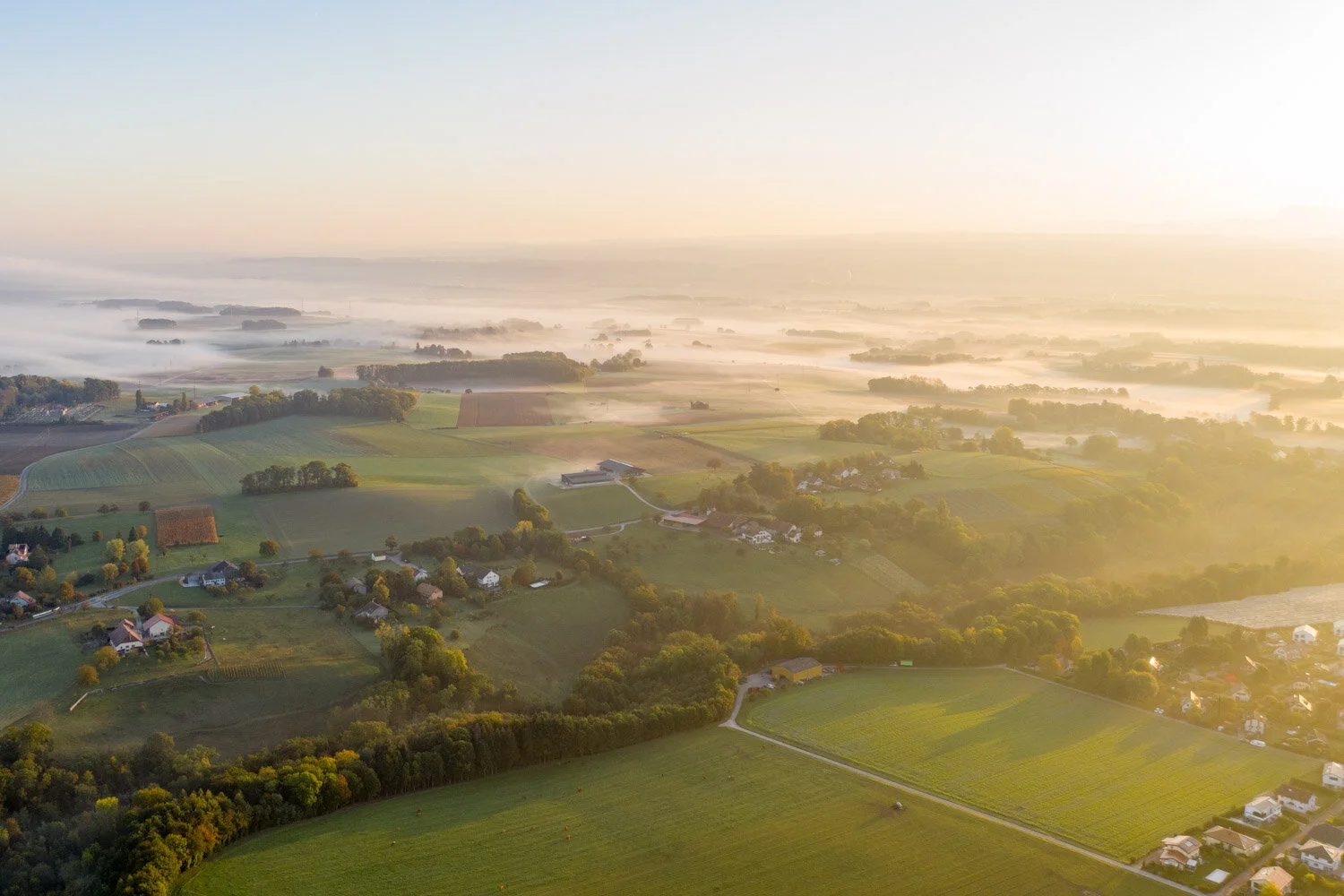 DJI_0931.jpg