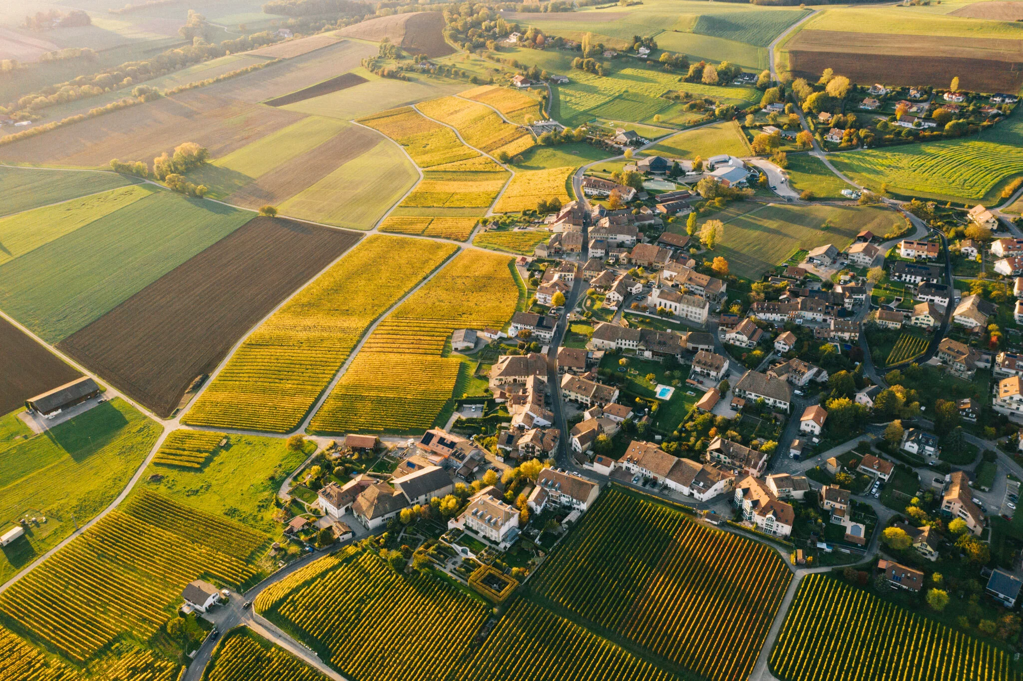DJI_0998.jpg
