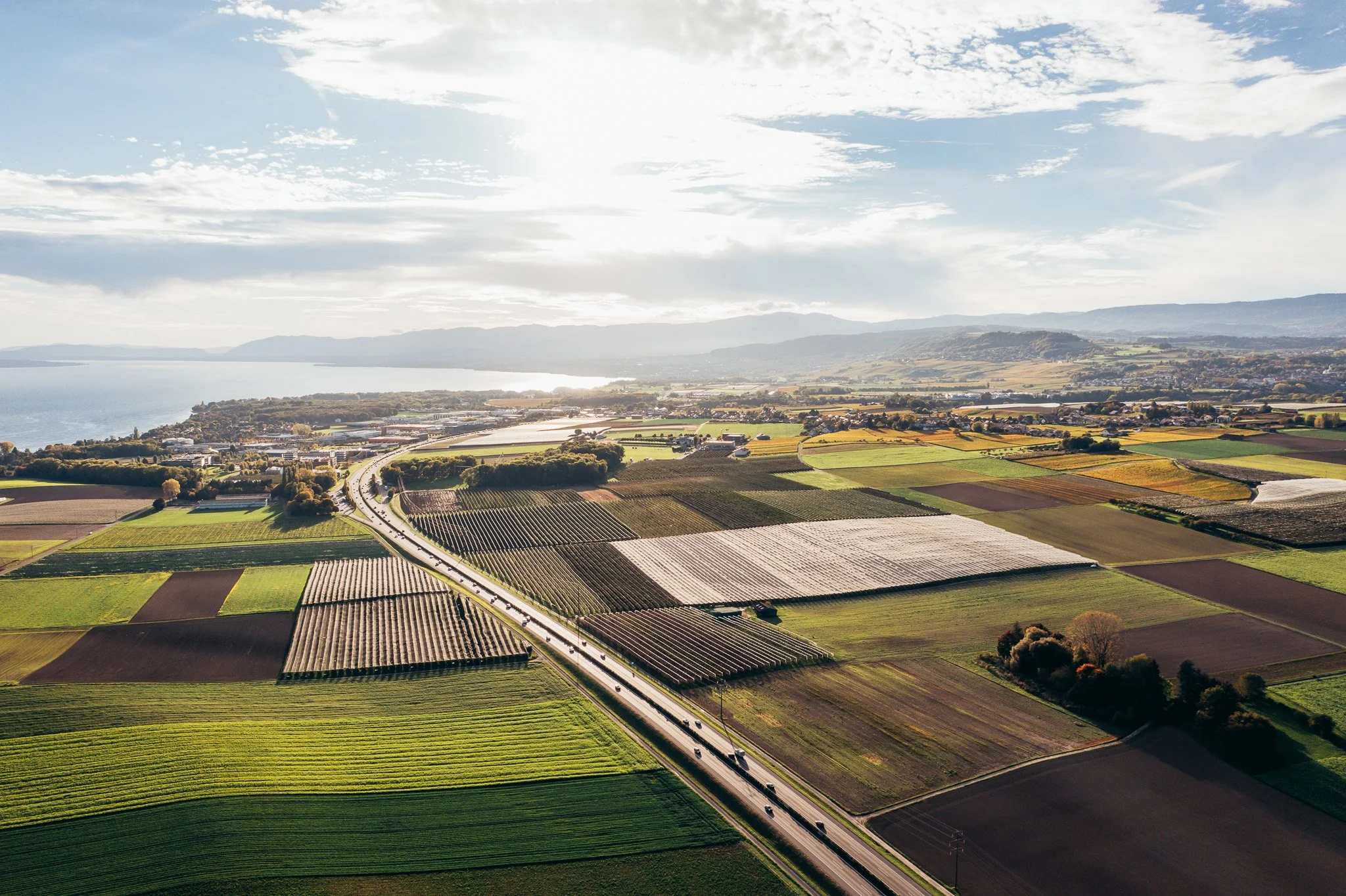 DJI_0920.jpg