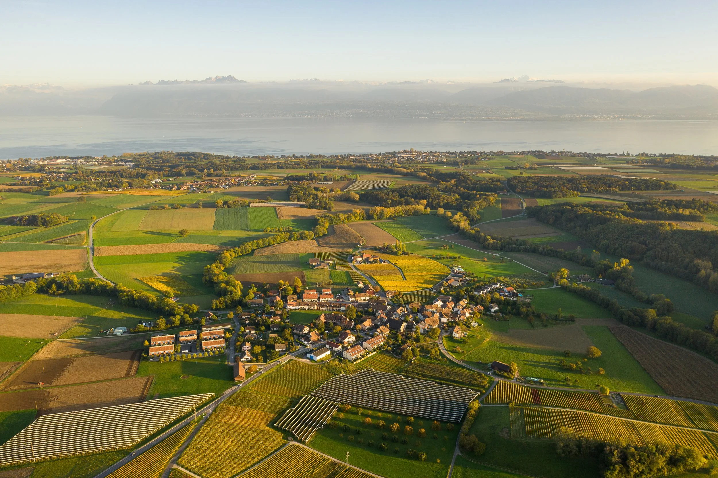 DJI_0004.jpg
