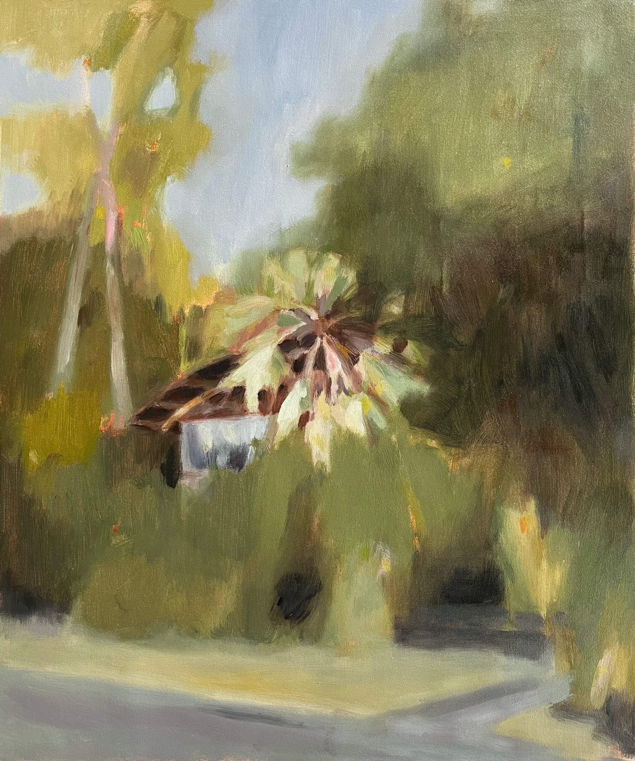House in trees
