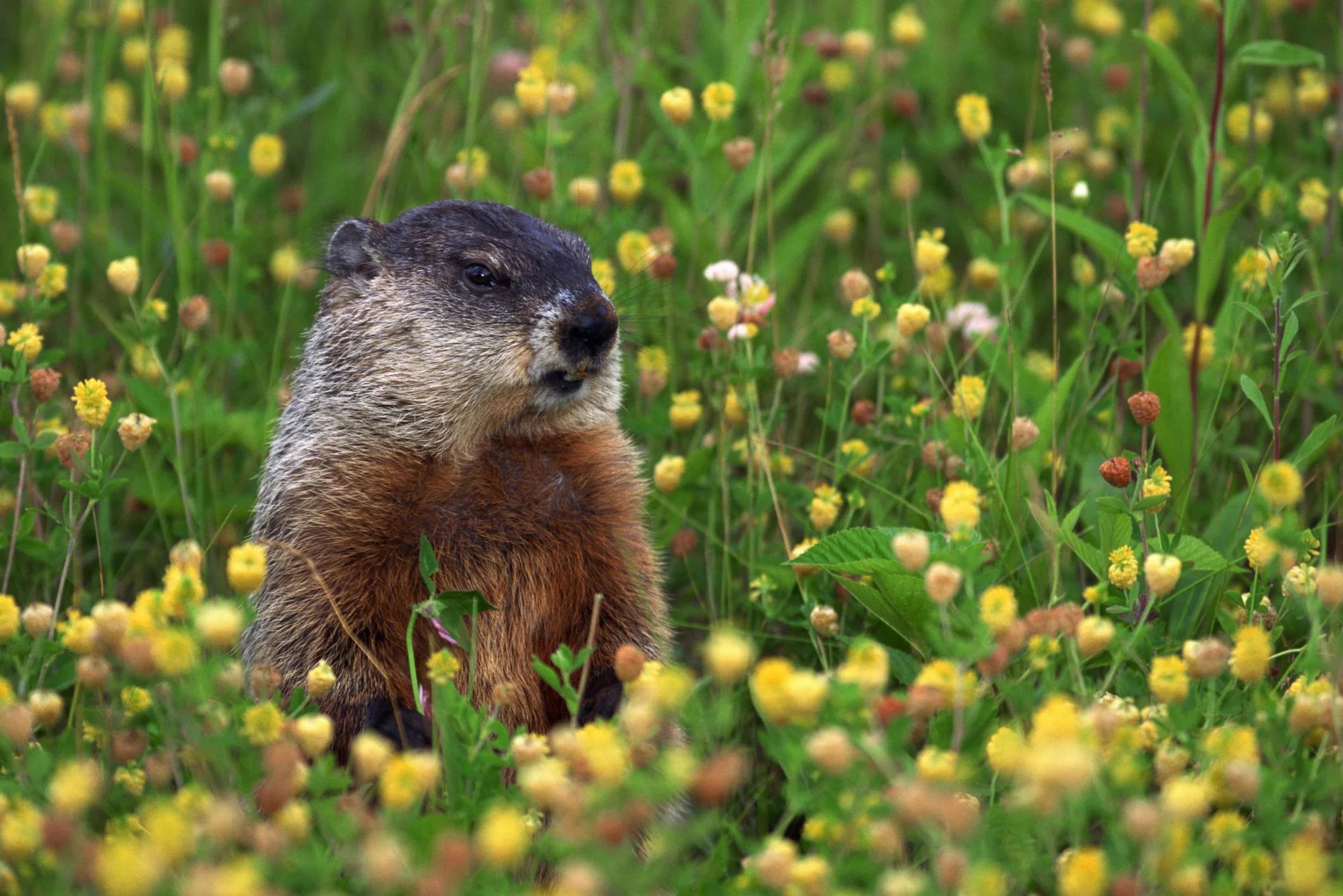 My Groundhog Day moment