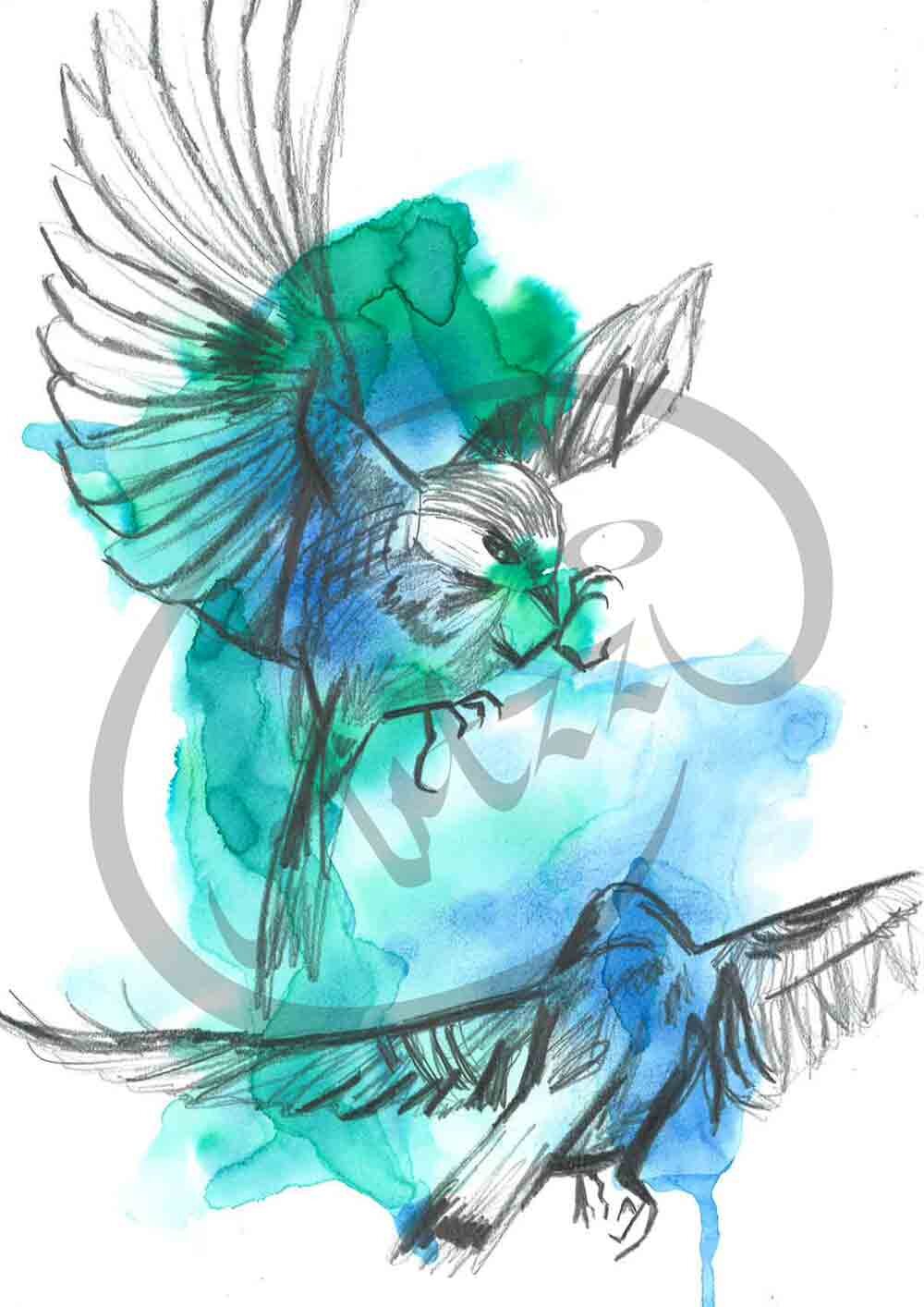 watercolour-Birds-A3-watermark.jpg