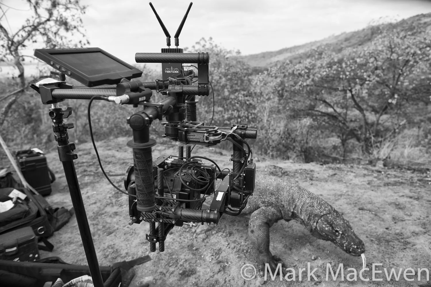 Sometimes you have to step away !!! MoVi M15 with Red Dragon, Teradek bolt pro 2000 and Rt Motion follow focus.