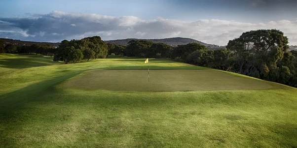 8th Hole Albany Golf Club 8th Hole Albany Golf Club