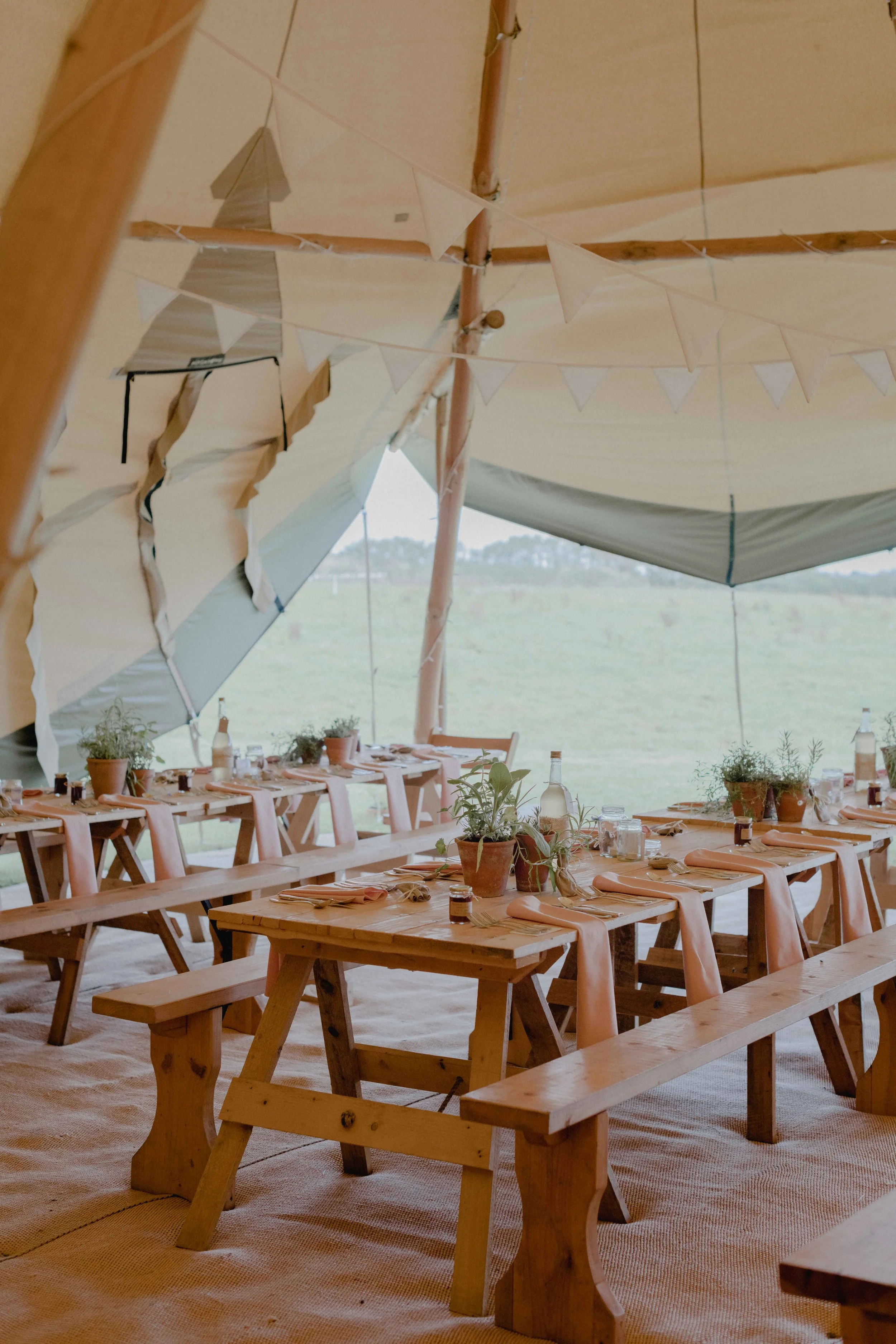 botanicals and pink with pot plants for indoor wedding tipi girly boho wedding inspiration