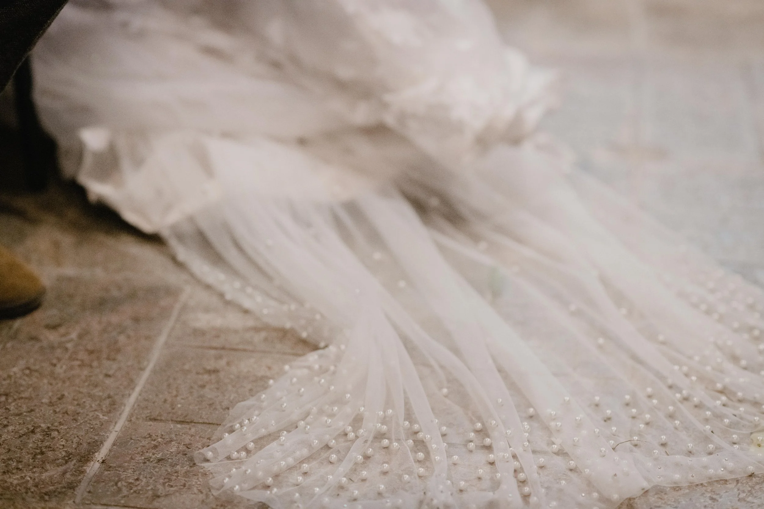 dotty tulle beaded cathedral veil