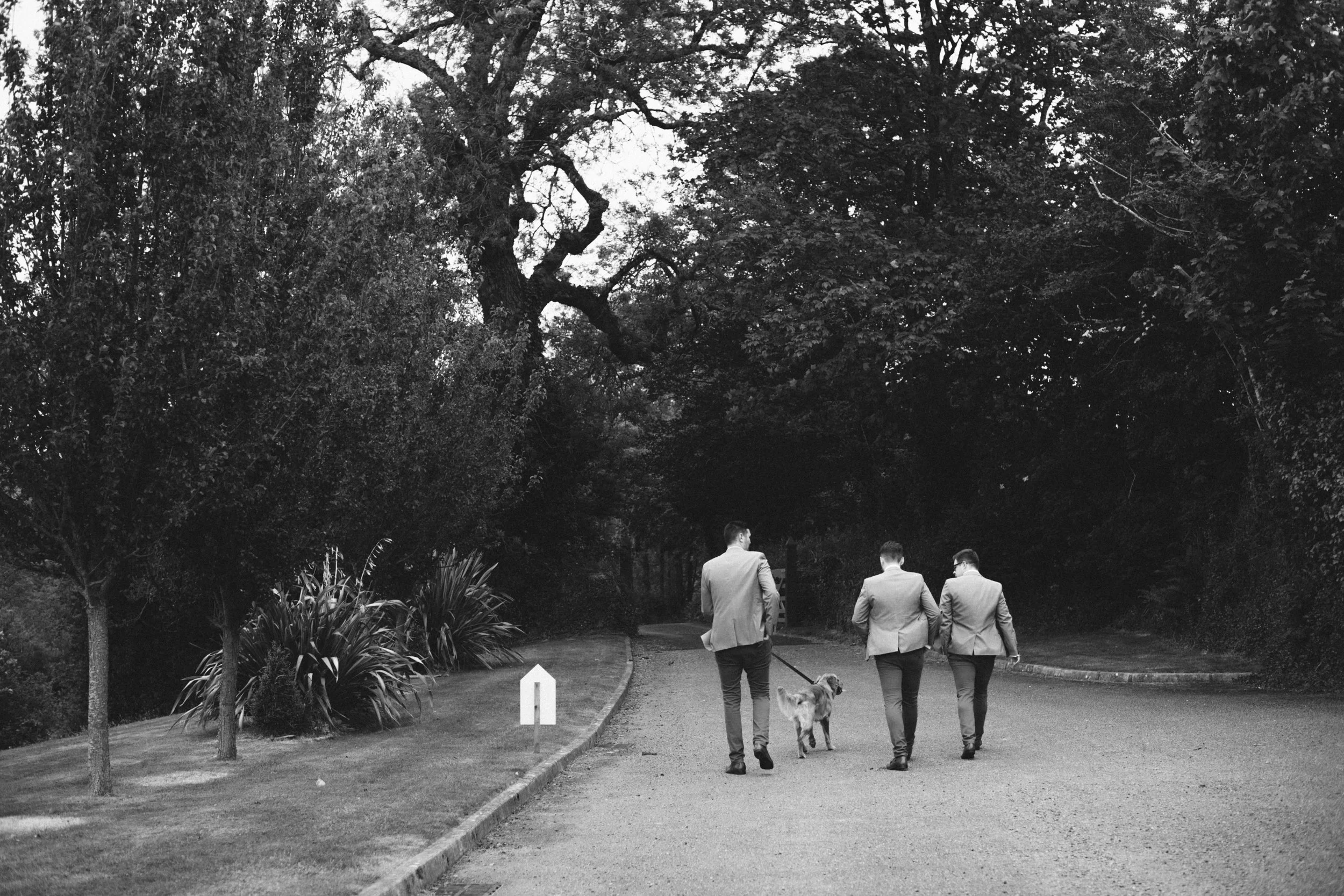 Natural documentary wedding photography in black and white groom and his dog walking in the grounds of pengenna manor