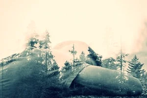 Creating a Healthy Dream Space