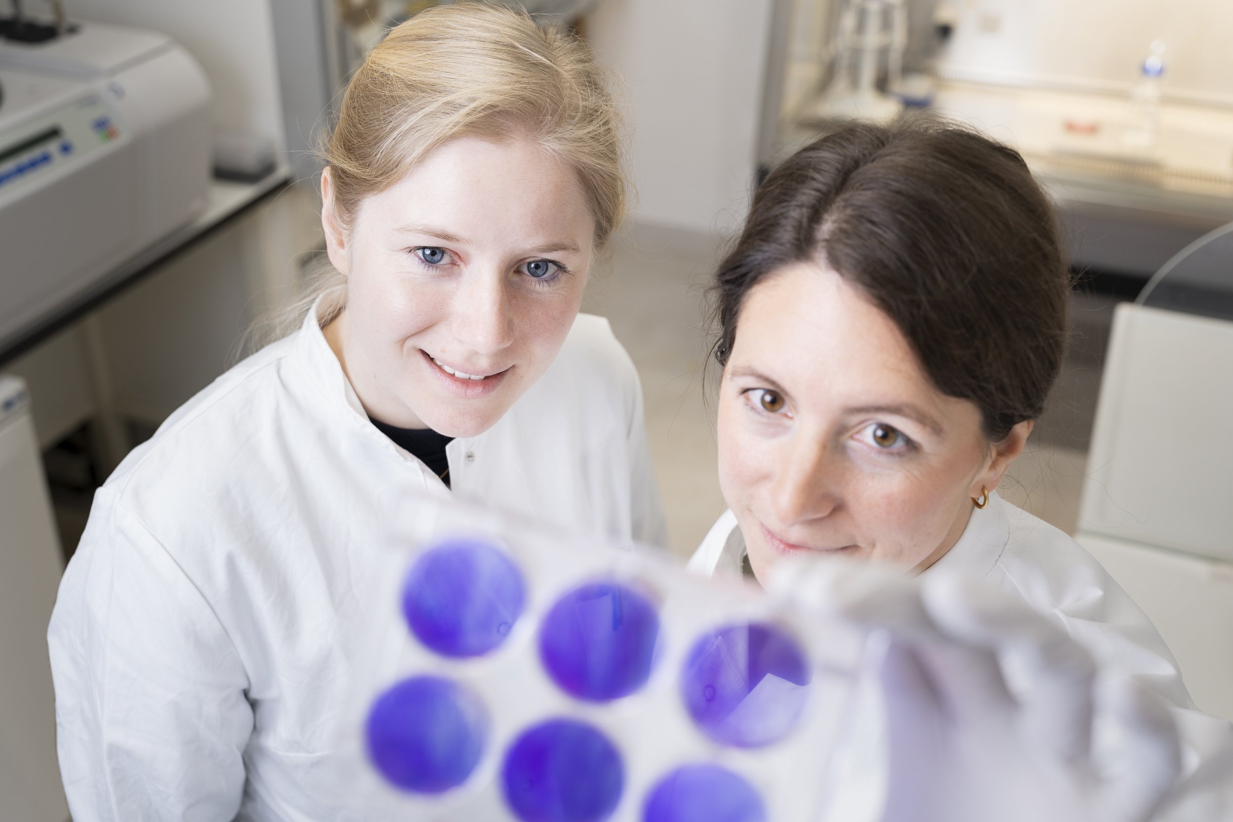 Imagebild zweier Wissenschaftlerinnen in einem Genlabor einer Infektionsforschungseinrichtung