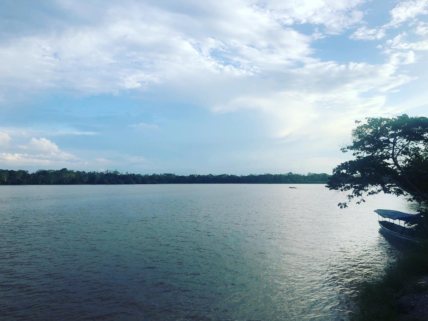 My view for the next 7 hours. Travelling on the Napo river deeper in the Amazon 

#chocolateadventures